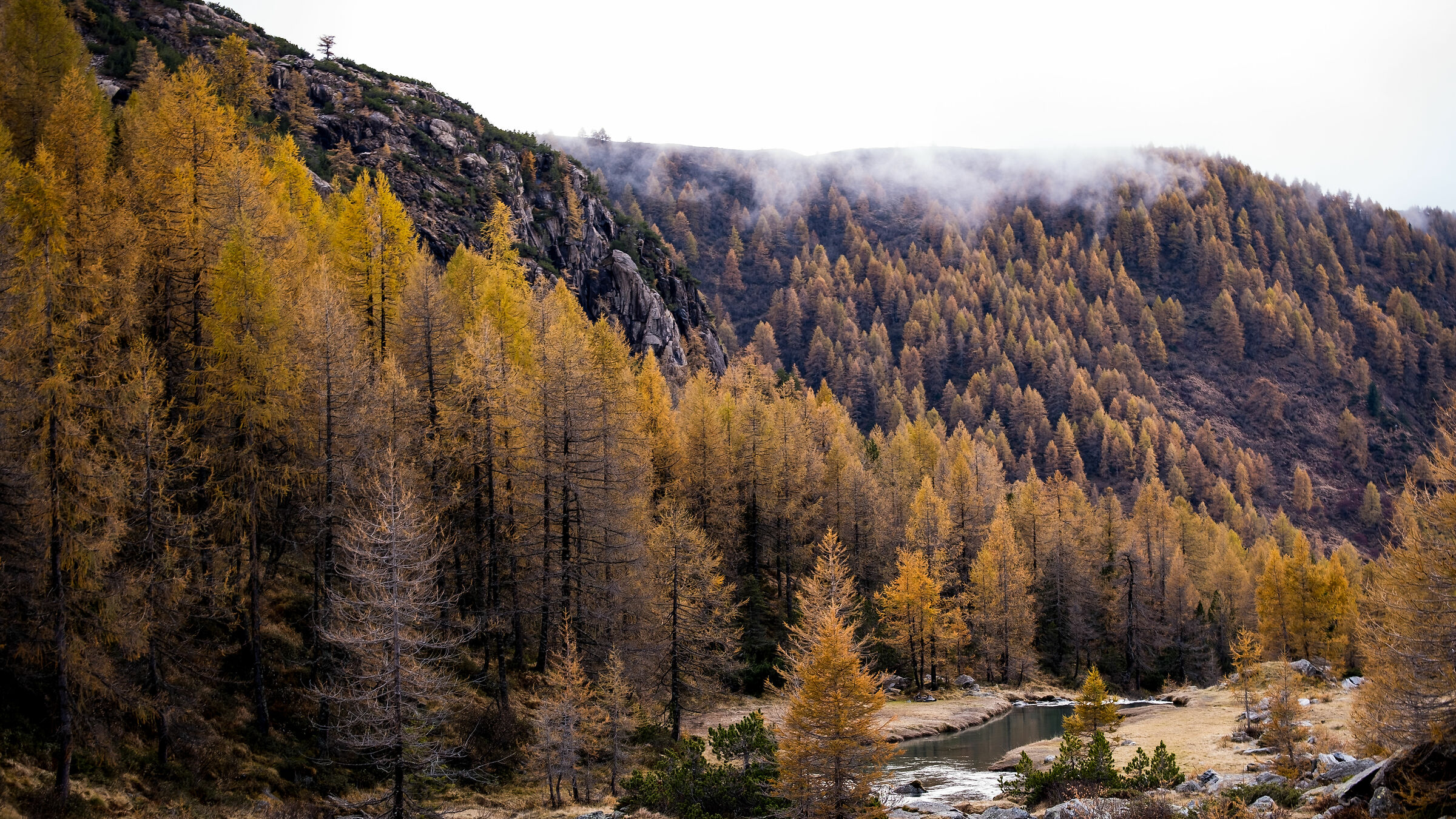 Autunno a Preda Rossa