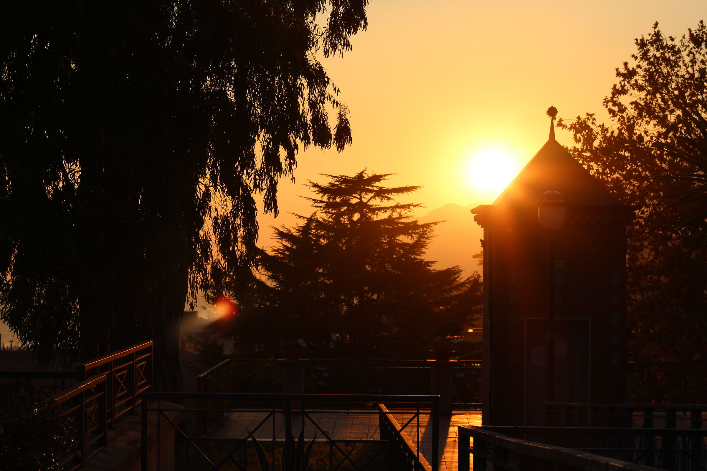 Sunset - Seminary Park