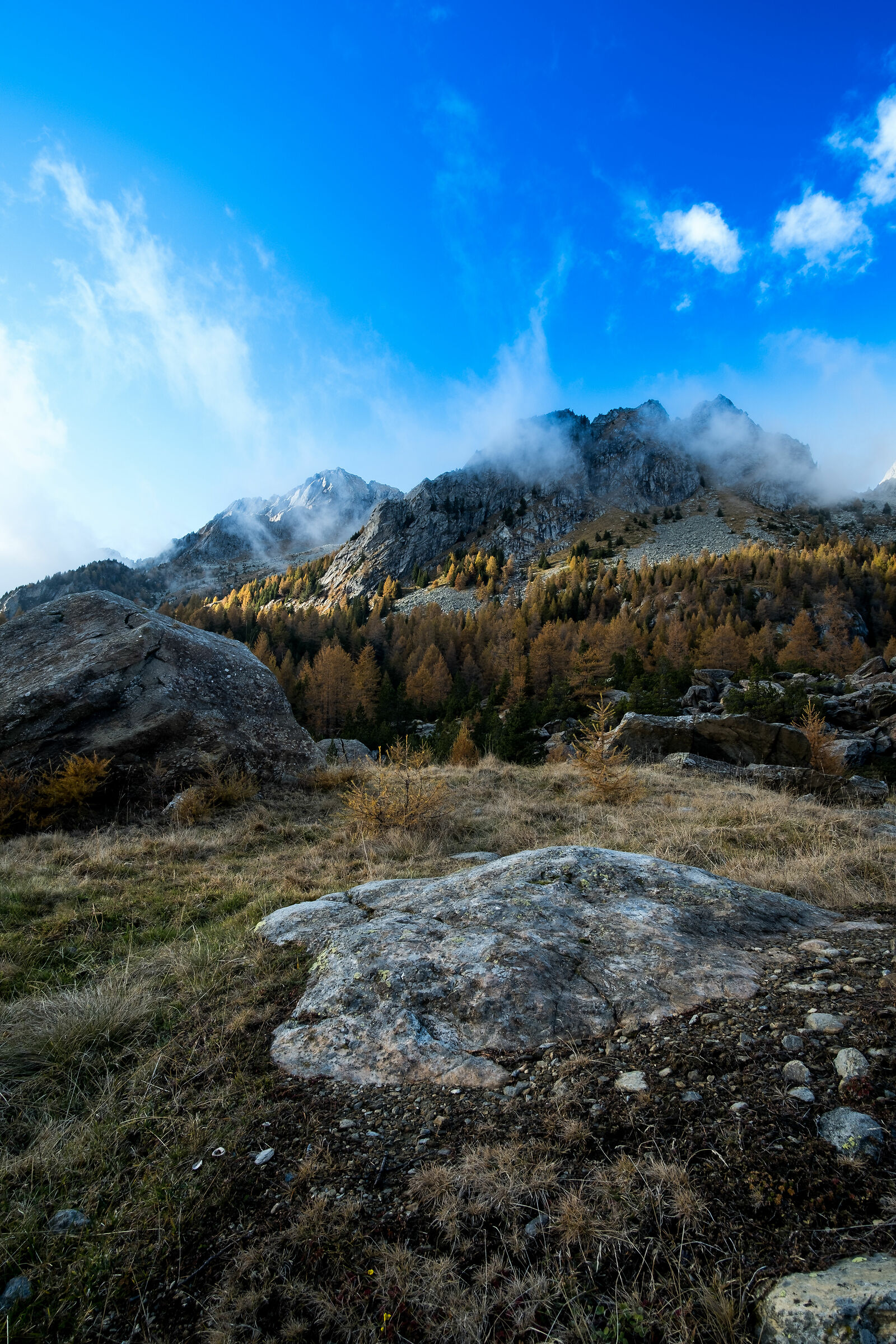 Autumn in Red Prey