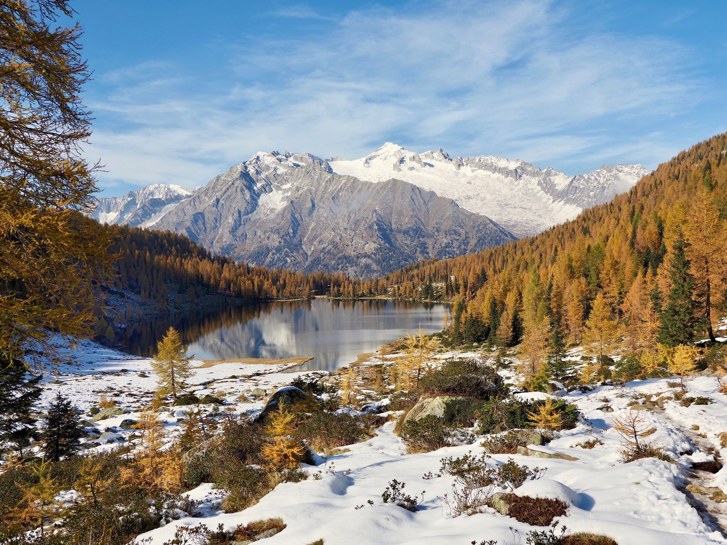 Lo sguardo si perde.....