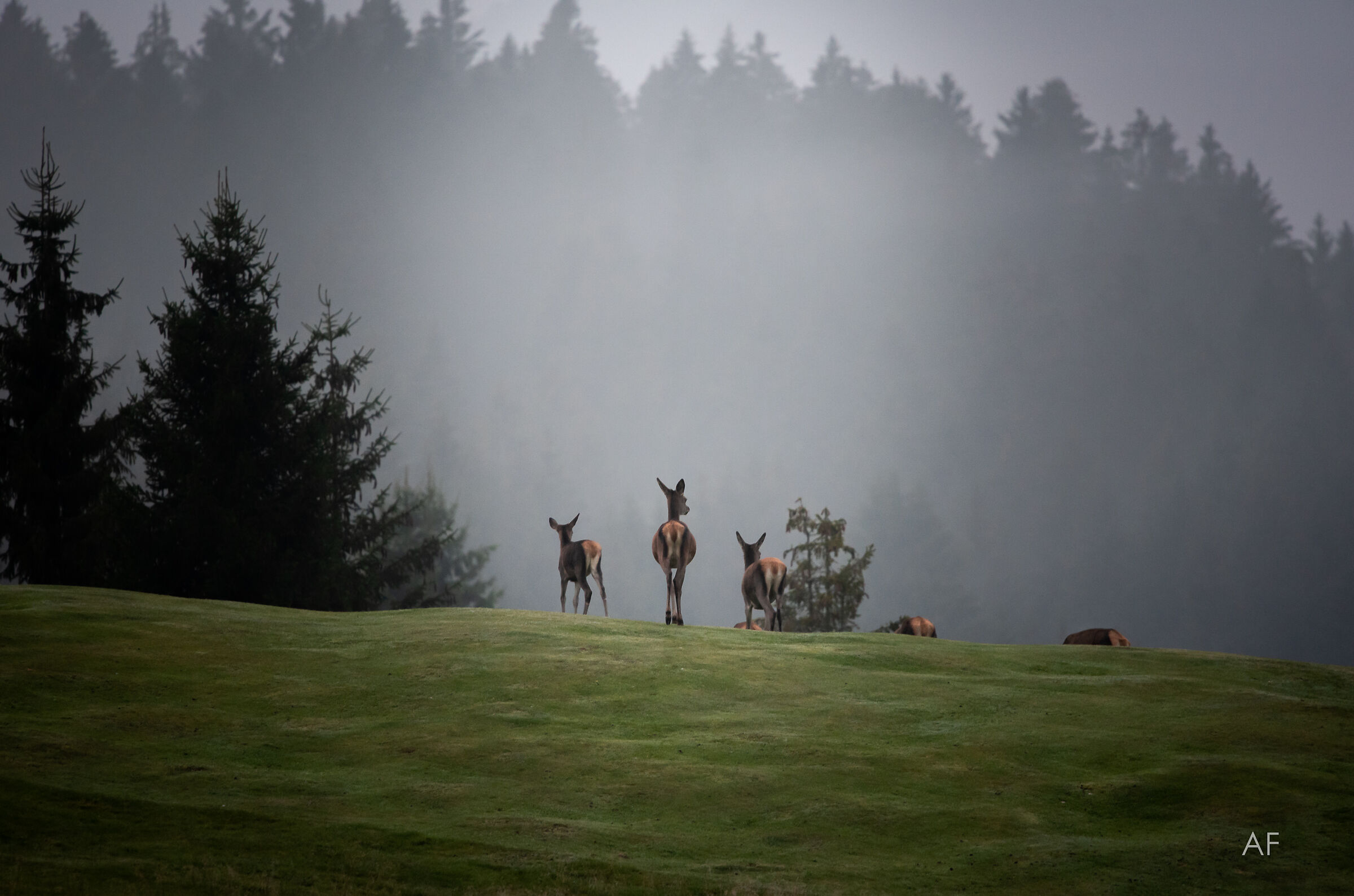 pace, silenzio, delicatezza...le mie albe preferite