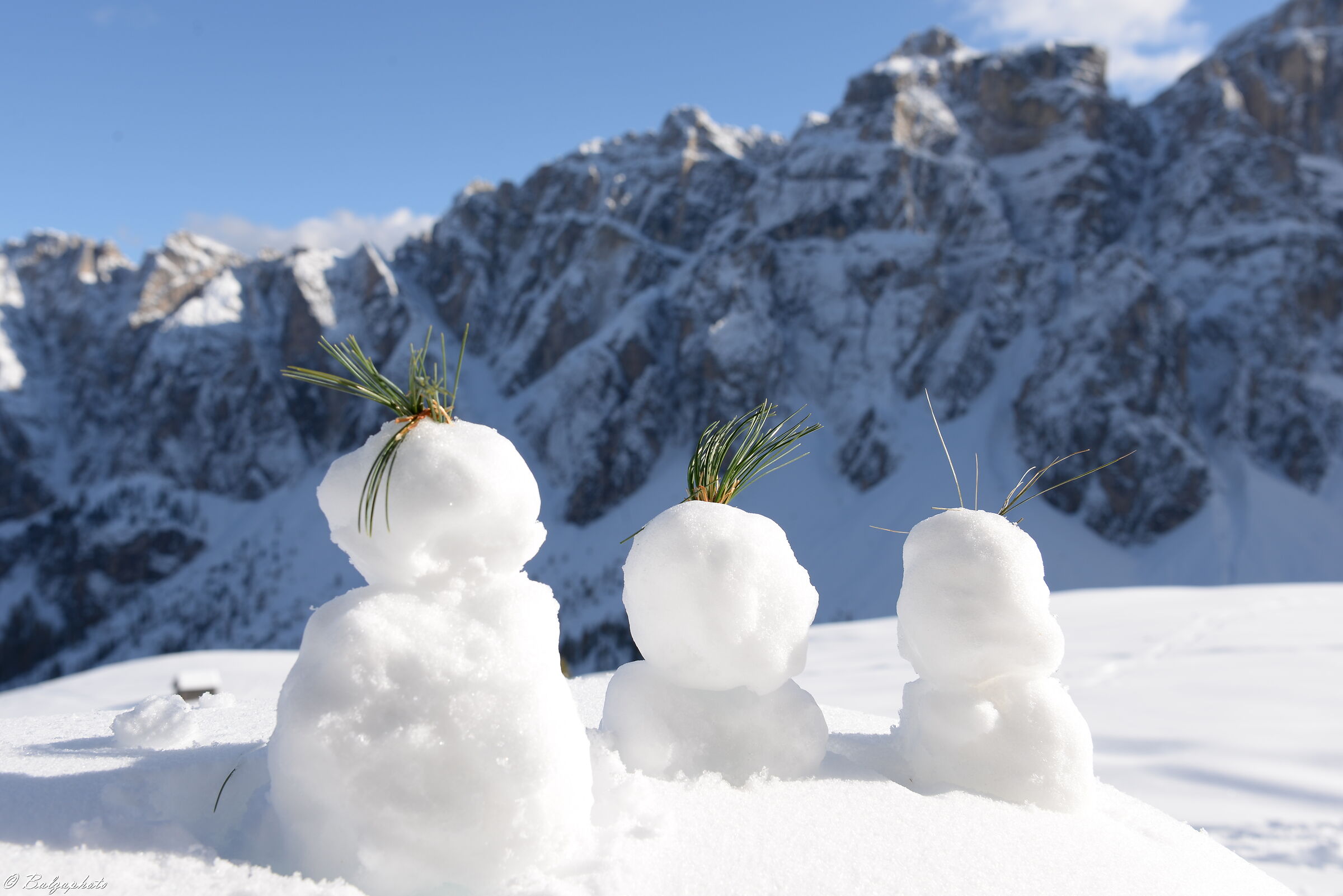 Antersasc Pasture, October but Full Winter