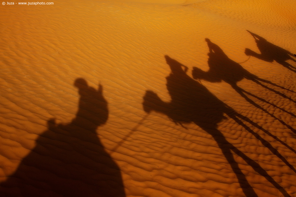 Sahara Desert, 012397