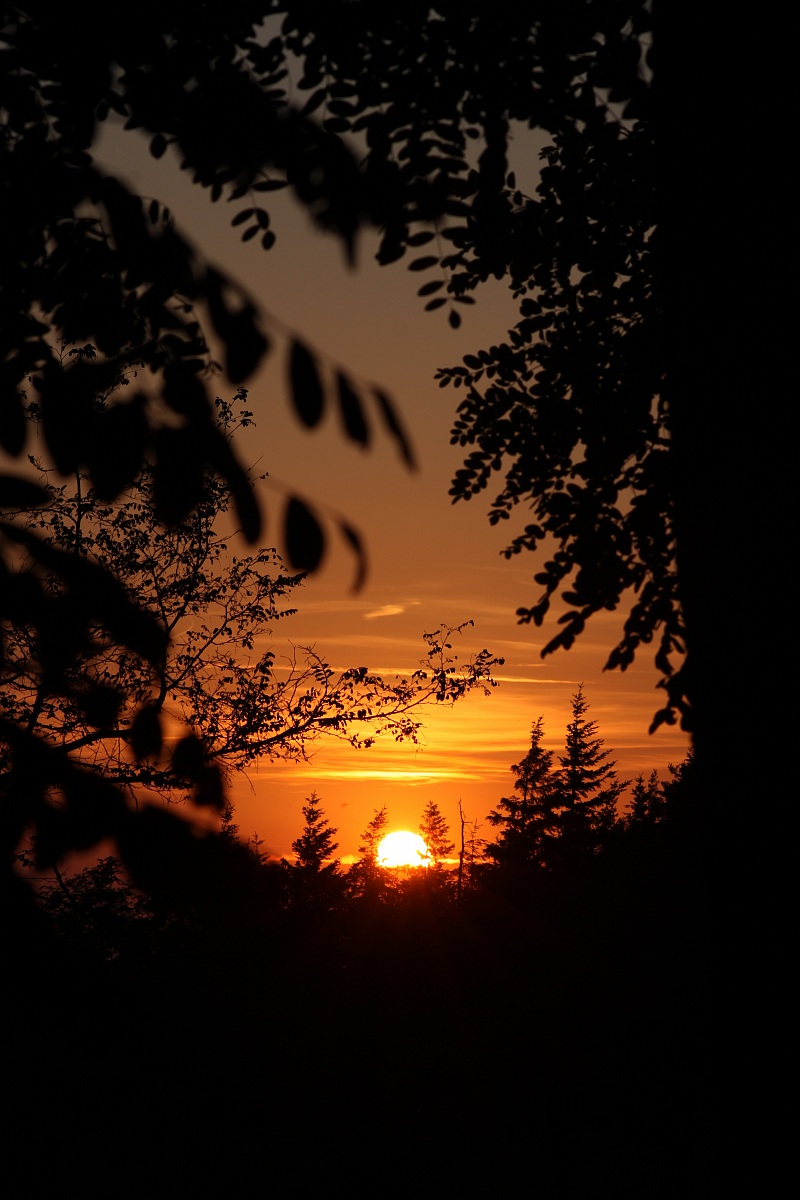 ...uno sguardo al tramonto