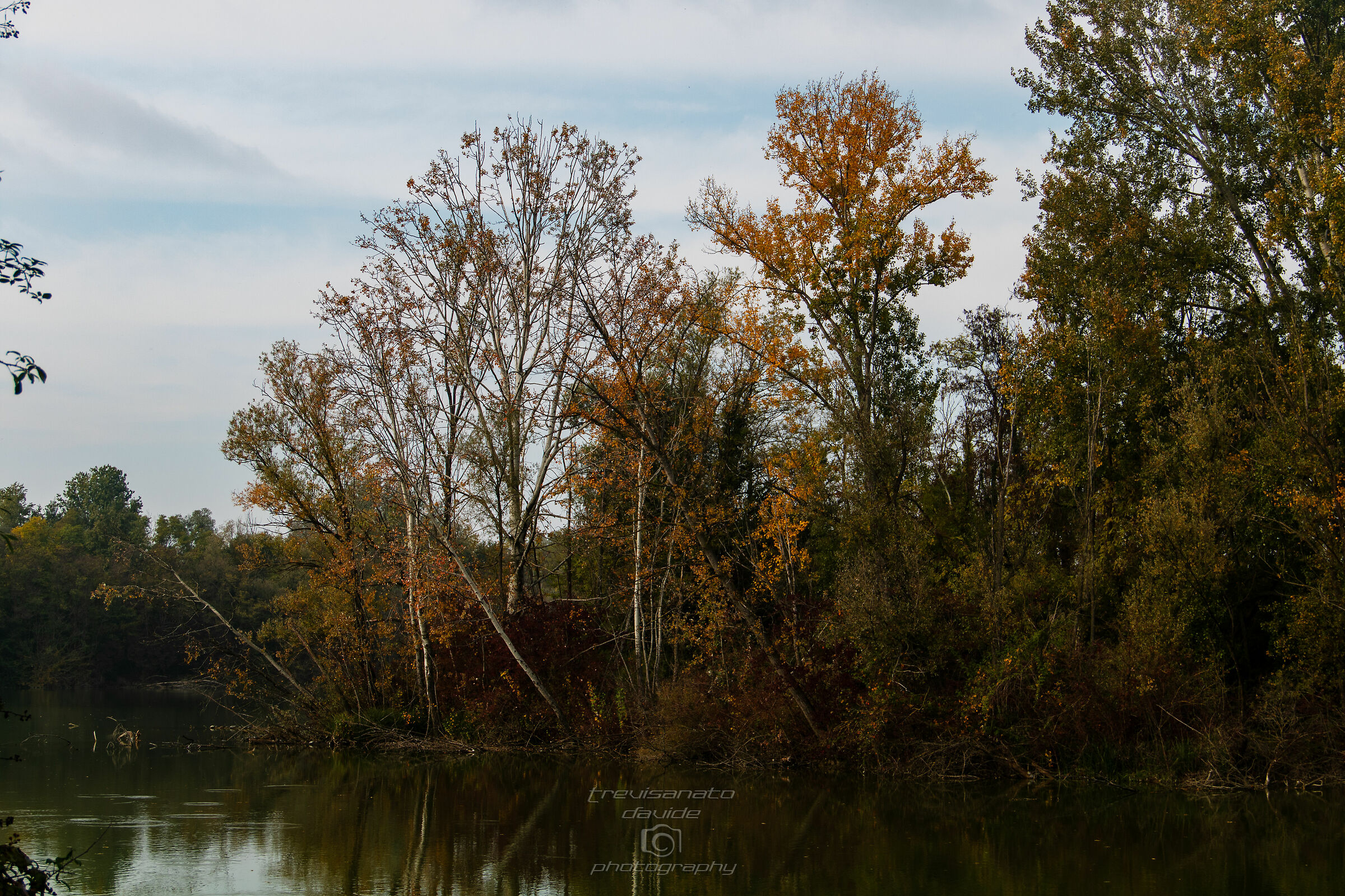Martellago ponds