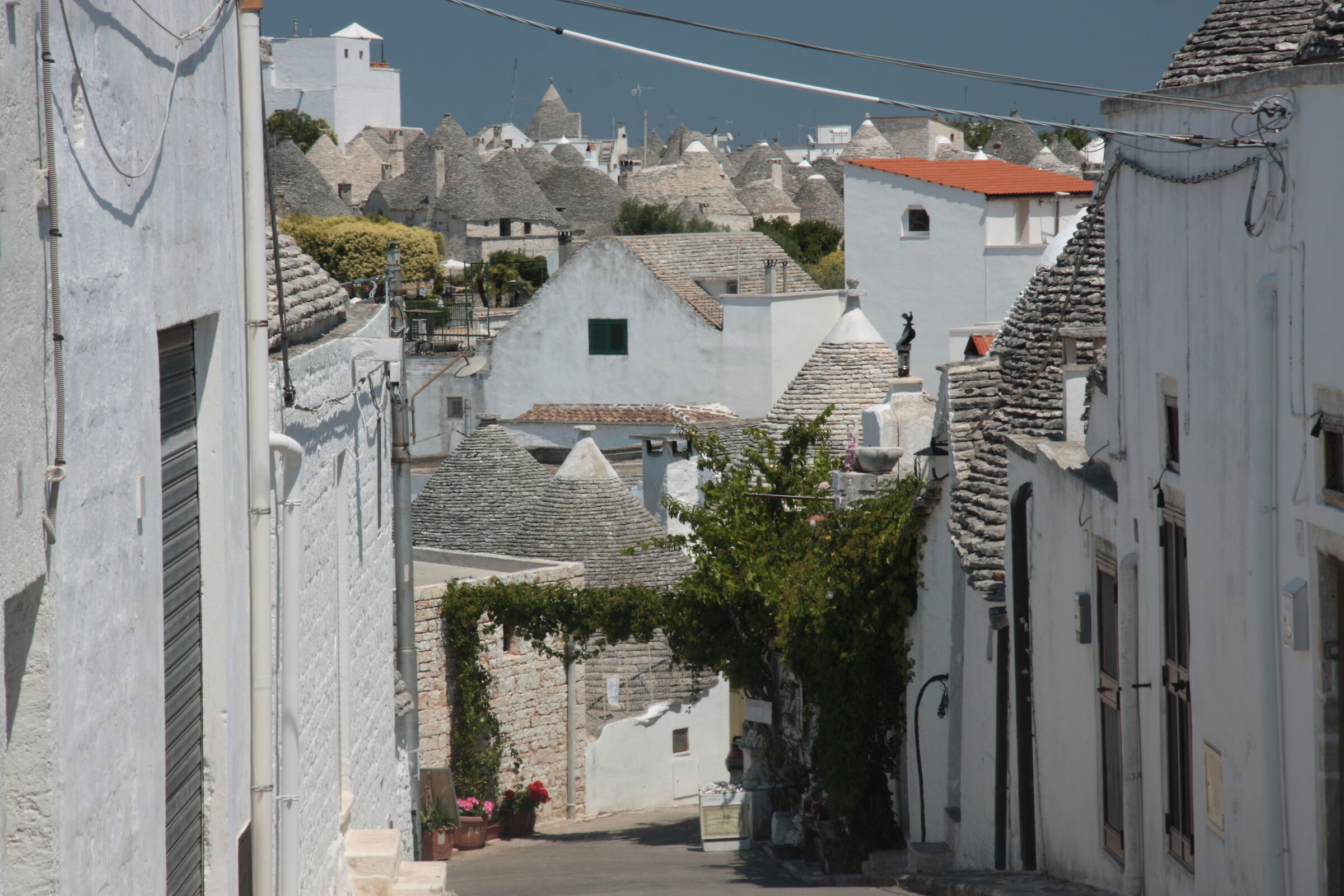 Trulli(Alberobello)Bari