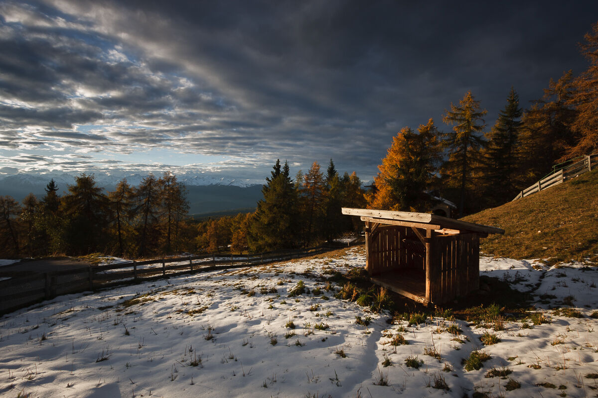 In the light of the Penegal ...