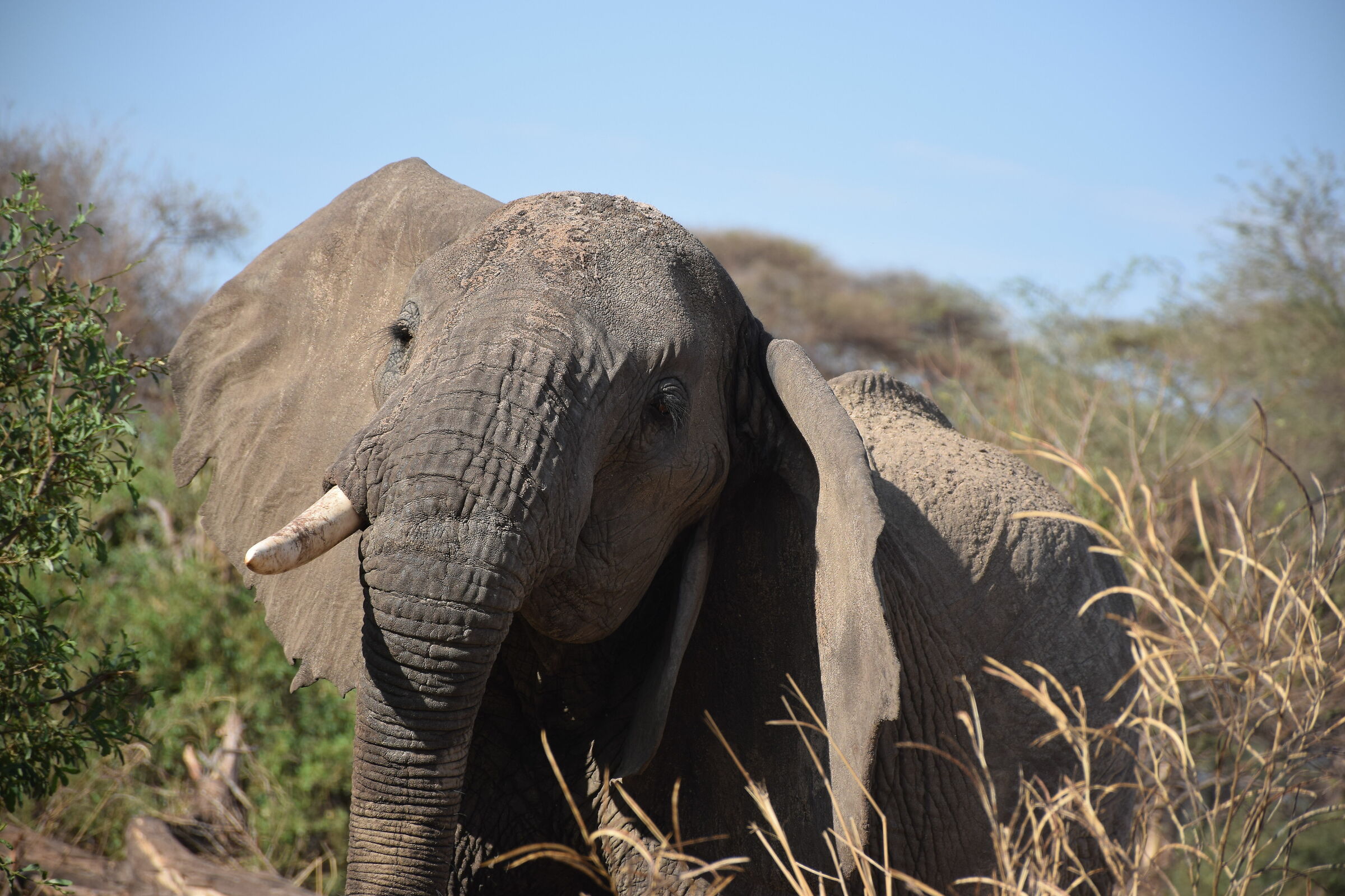 Incontri ravvicinati