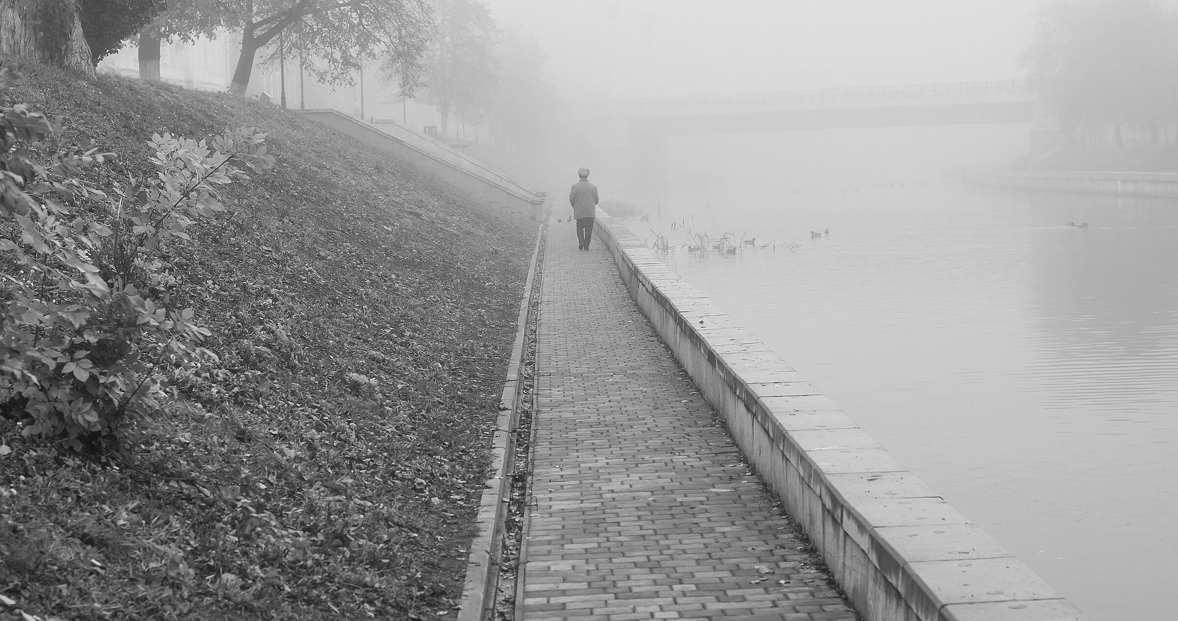 Prima di entrare nella nebbia...