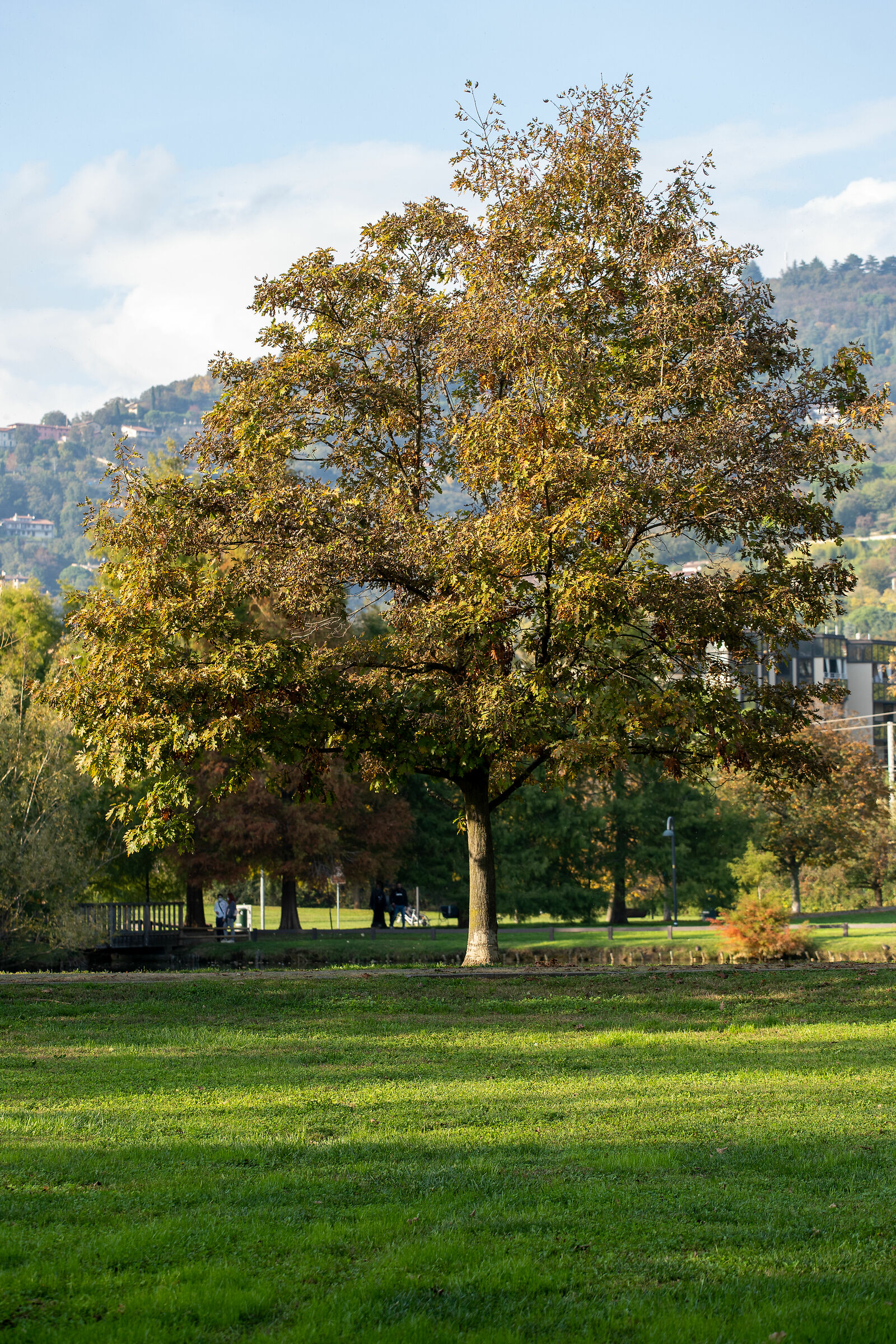 Autunno nel parco - Brescia