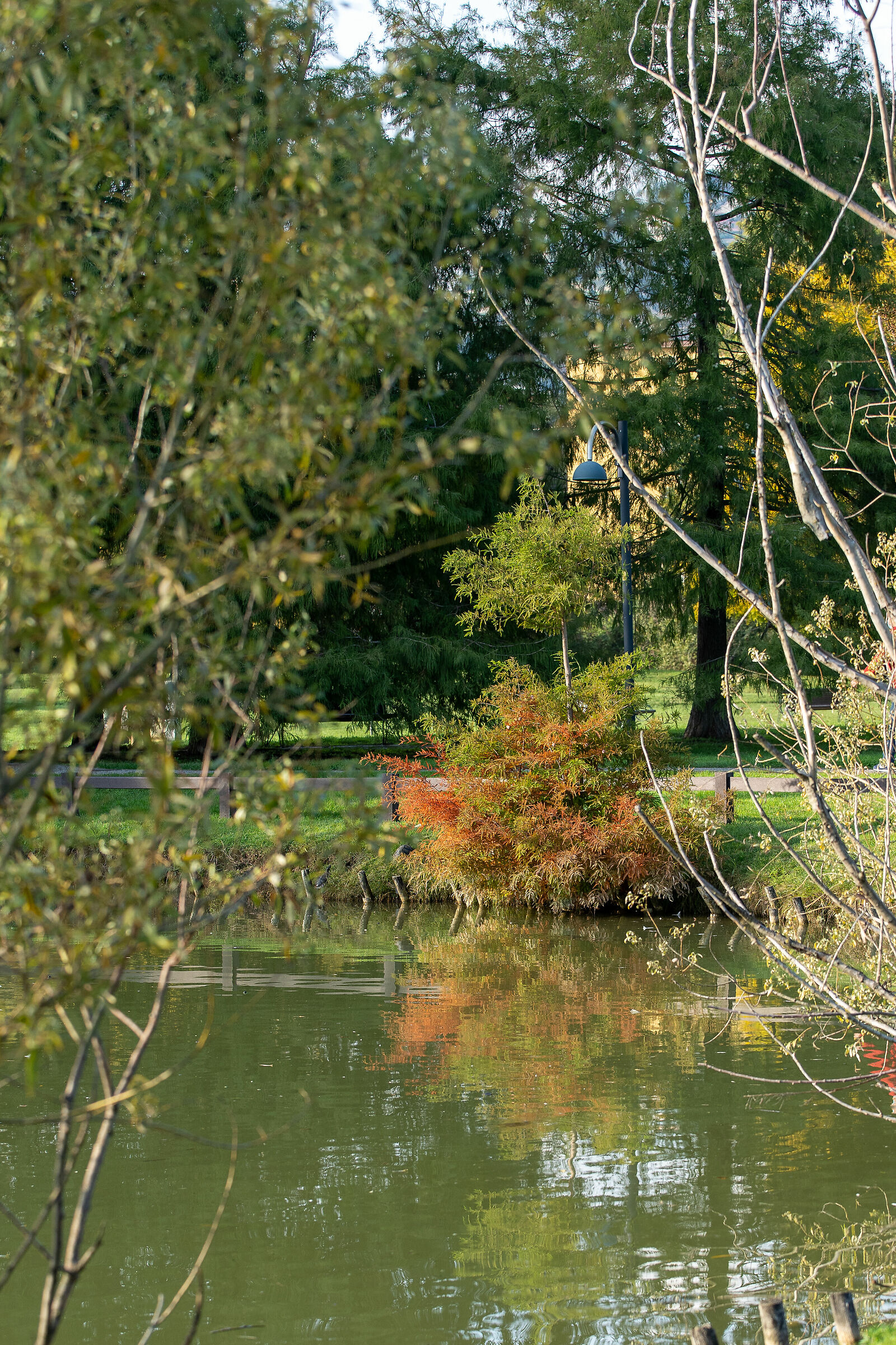 Autunno nel parco - Brescia