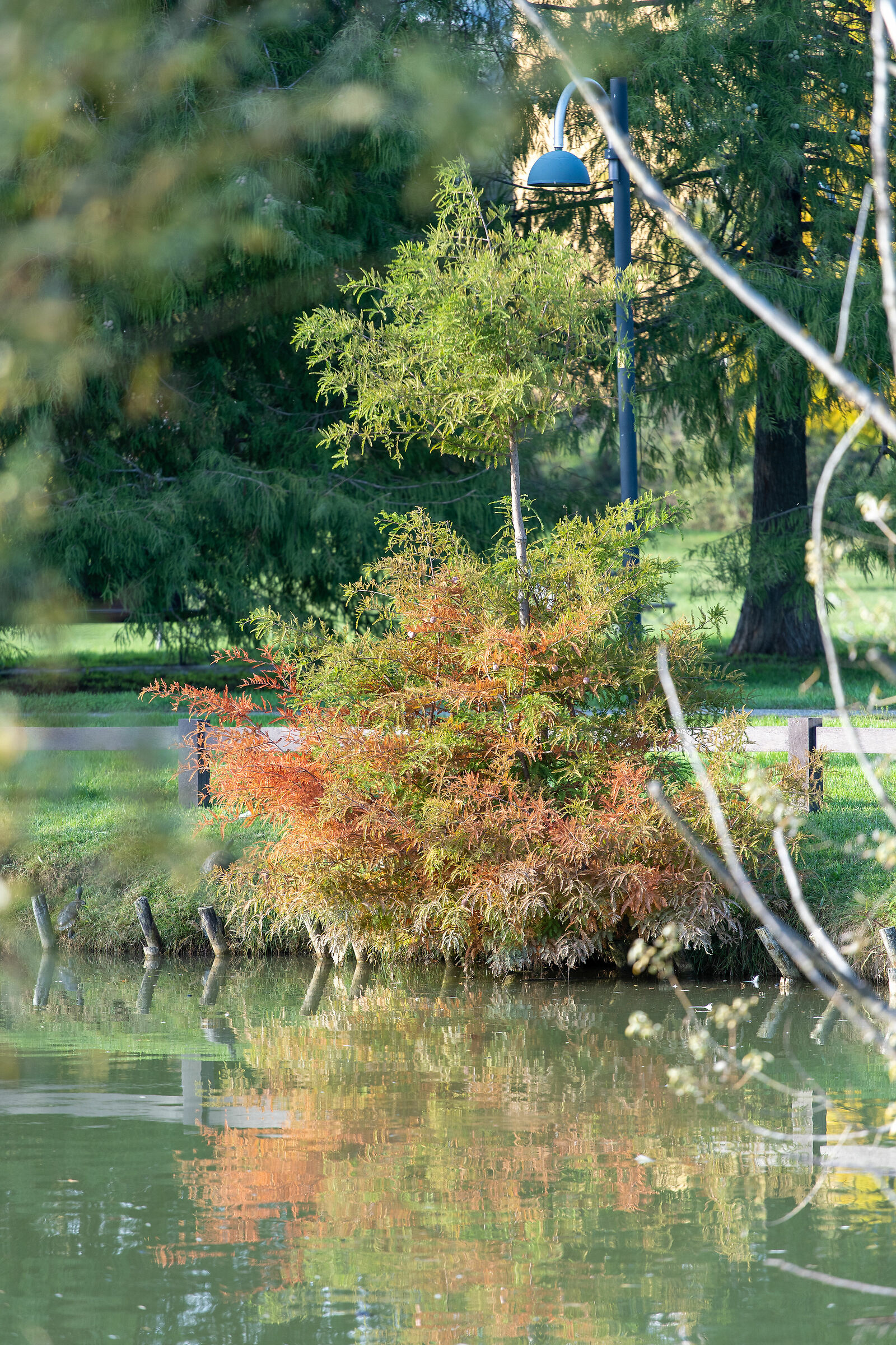 Autunno nel parco - Brescia
