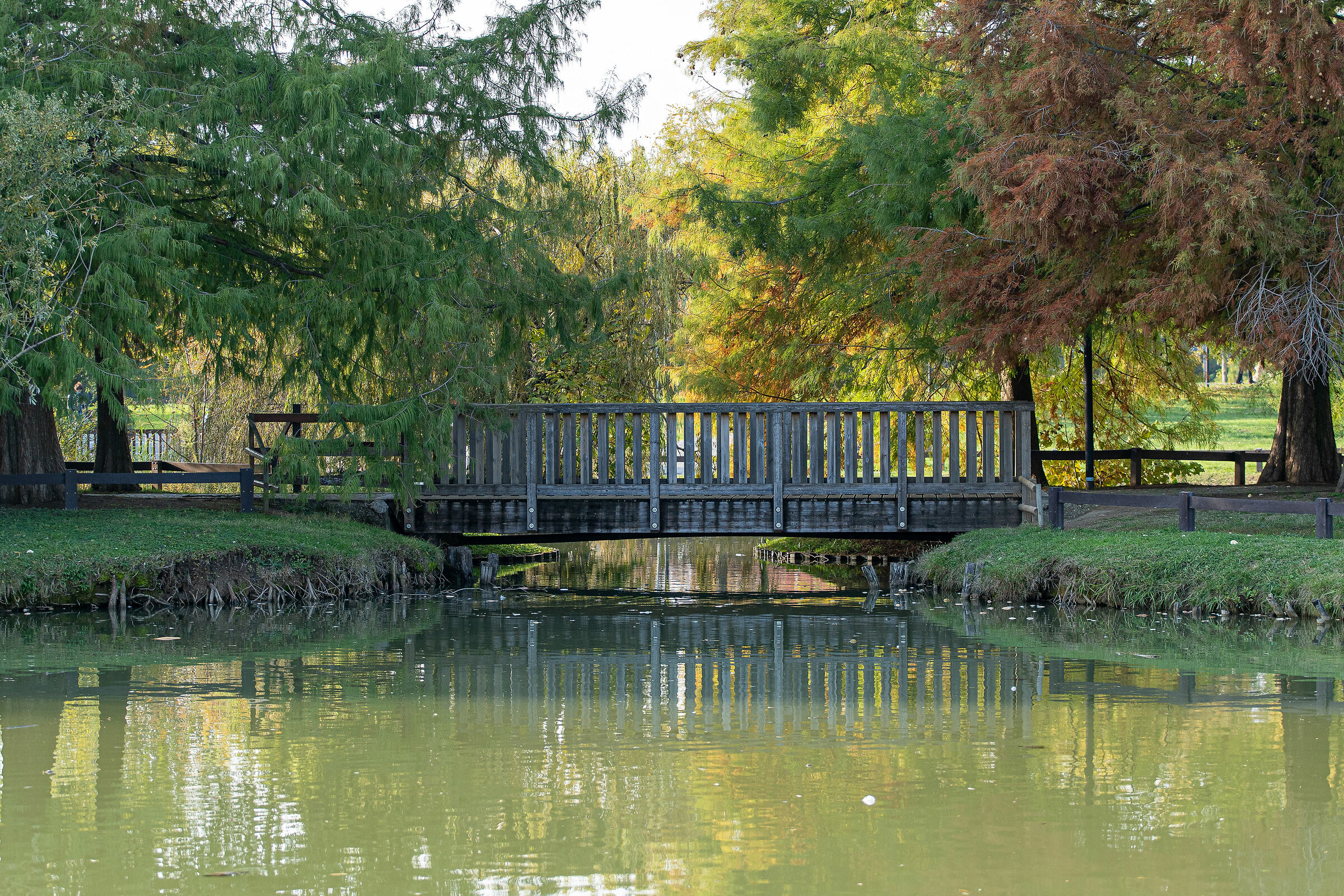 Autunno nel parco - Brescia