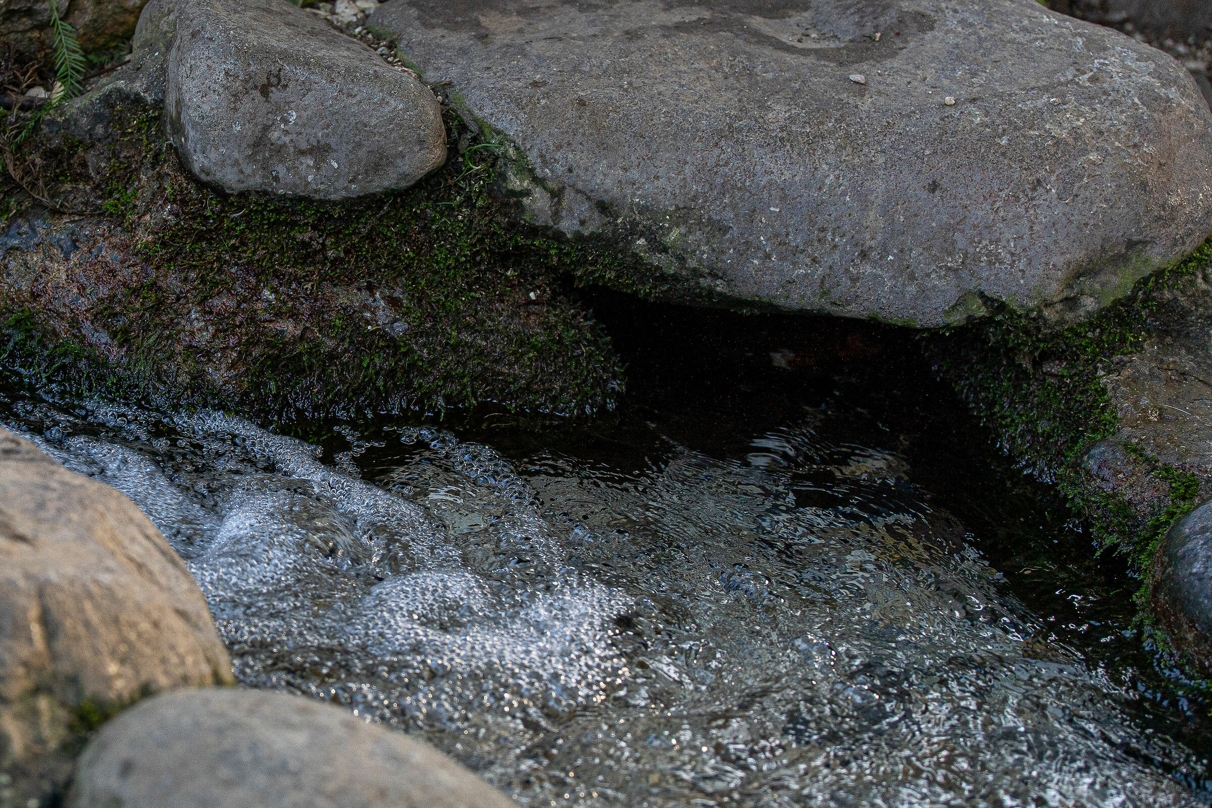 Autunno nel parco - Brescia