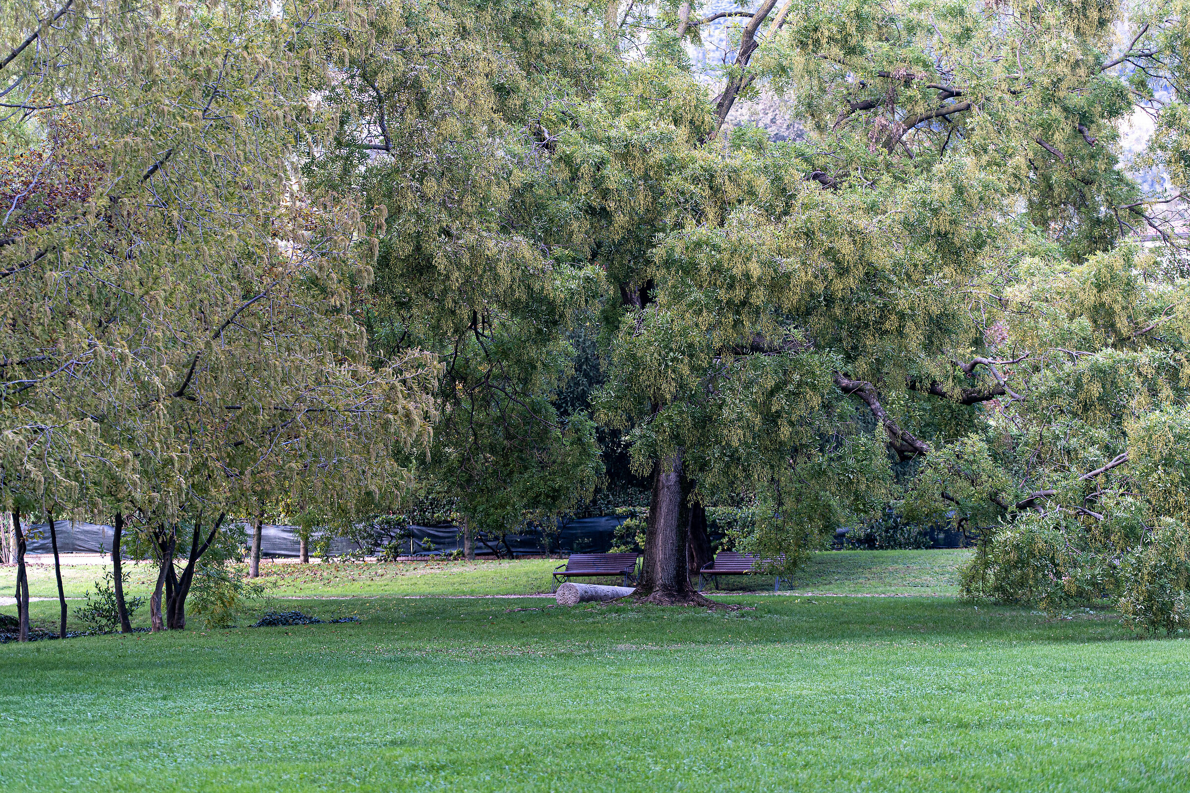 Autunno nel parco - Brescia