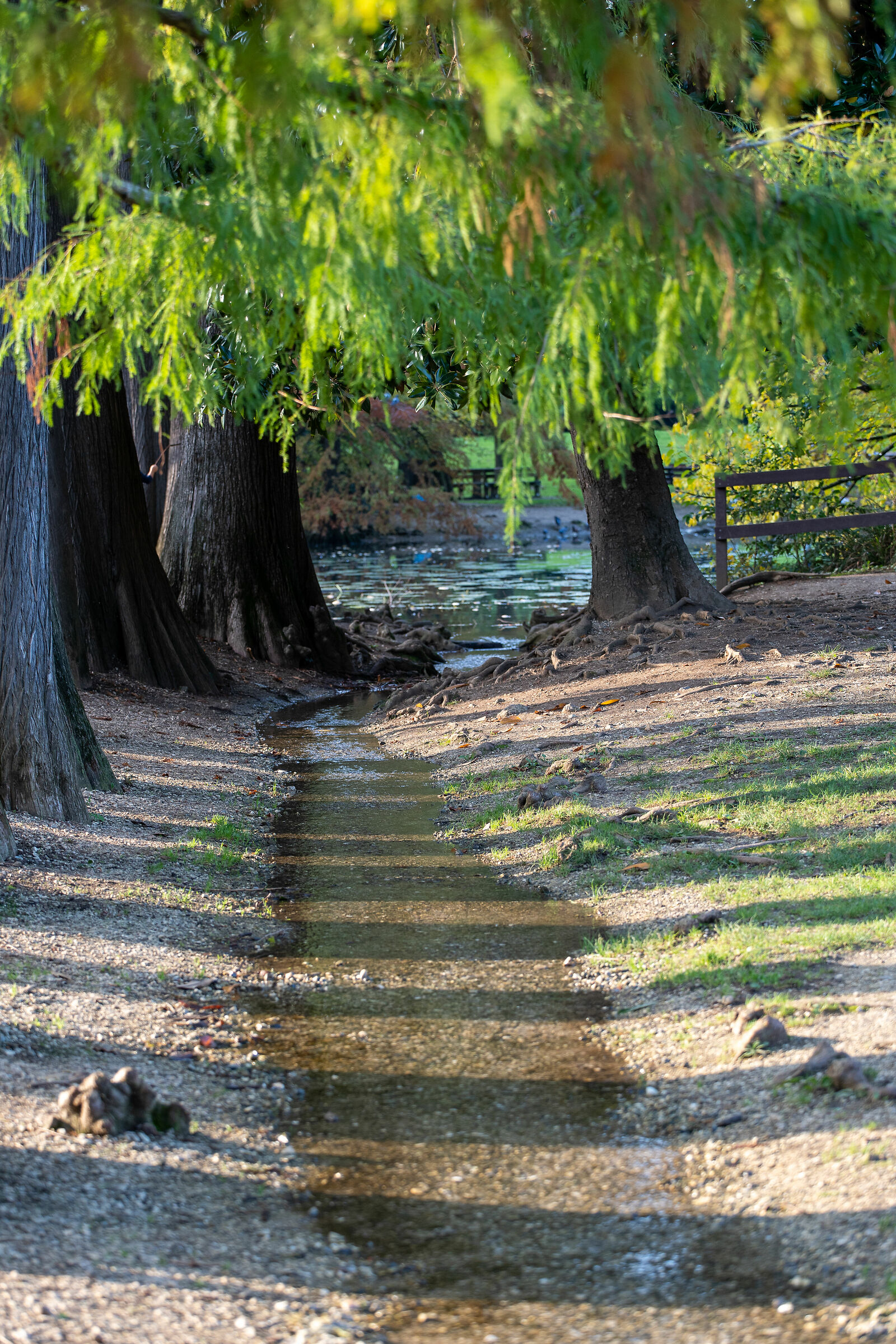 Autunno nel parco - Brescia