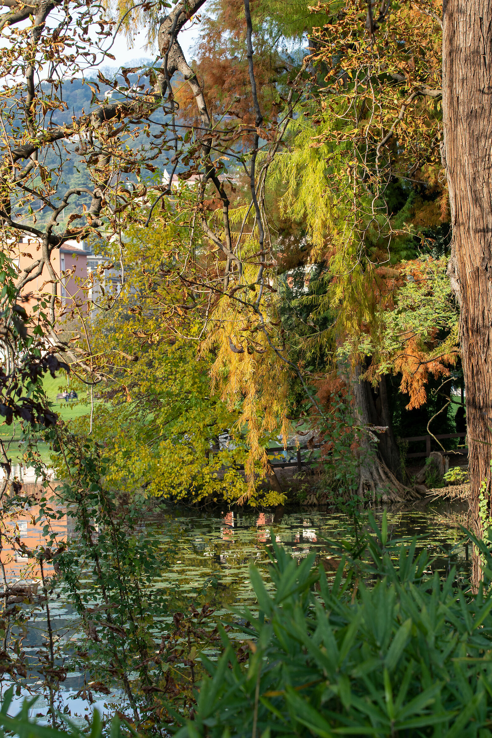 Autunno nel parco - Brescia