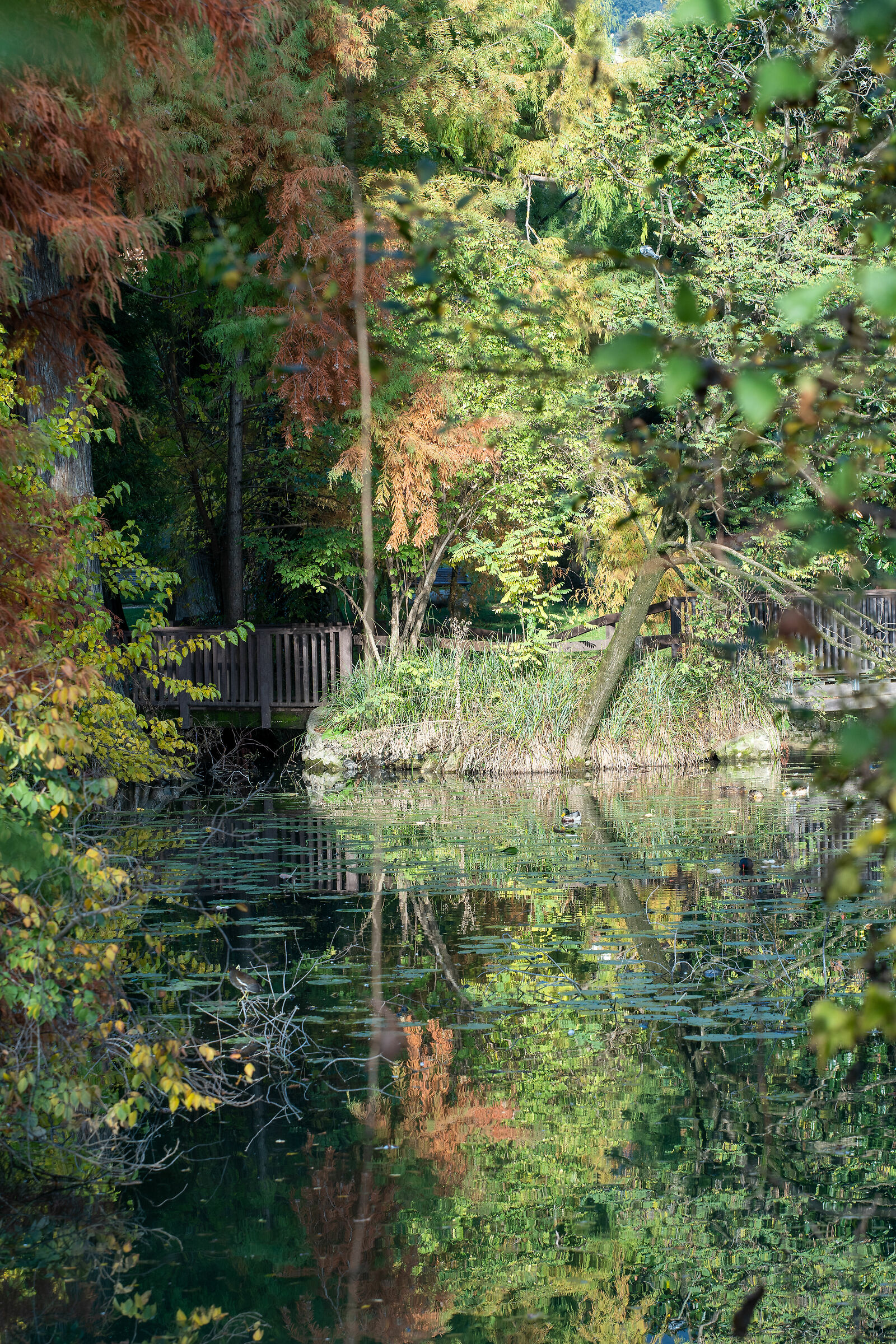 Autunno nel parco - Brescia