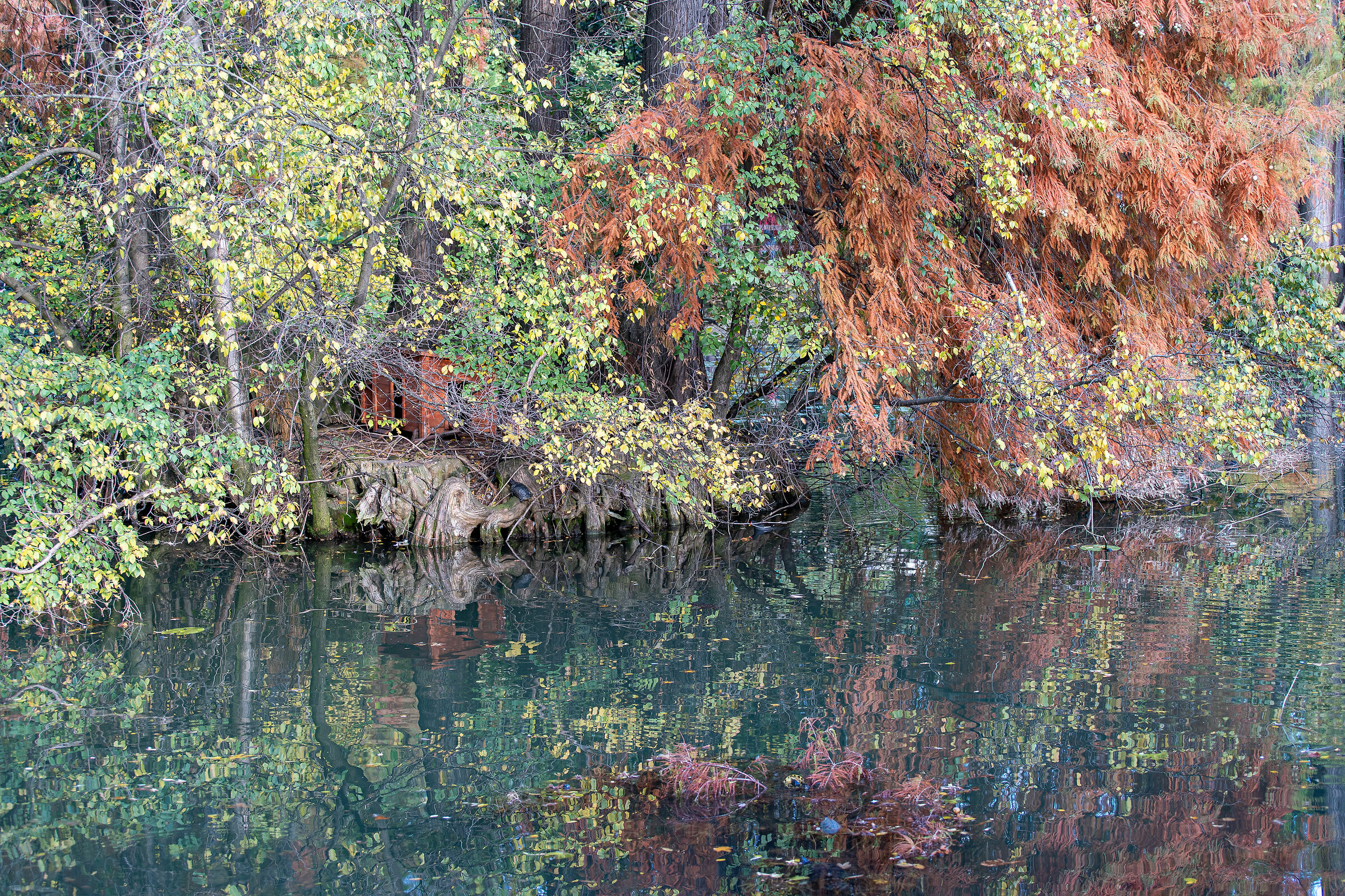 Autunno nel parco - Brescia