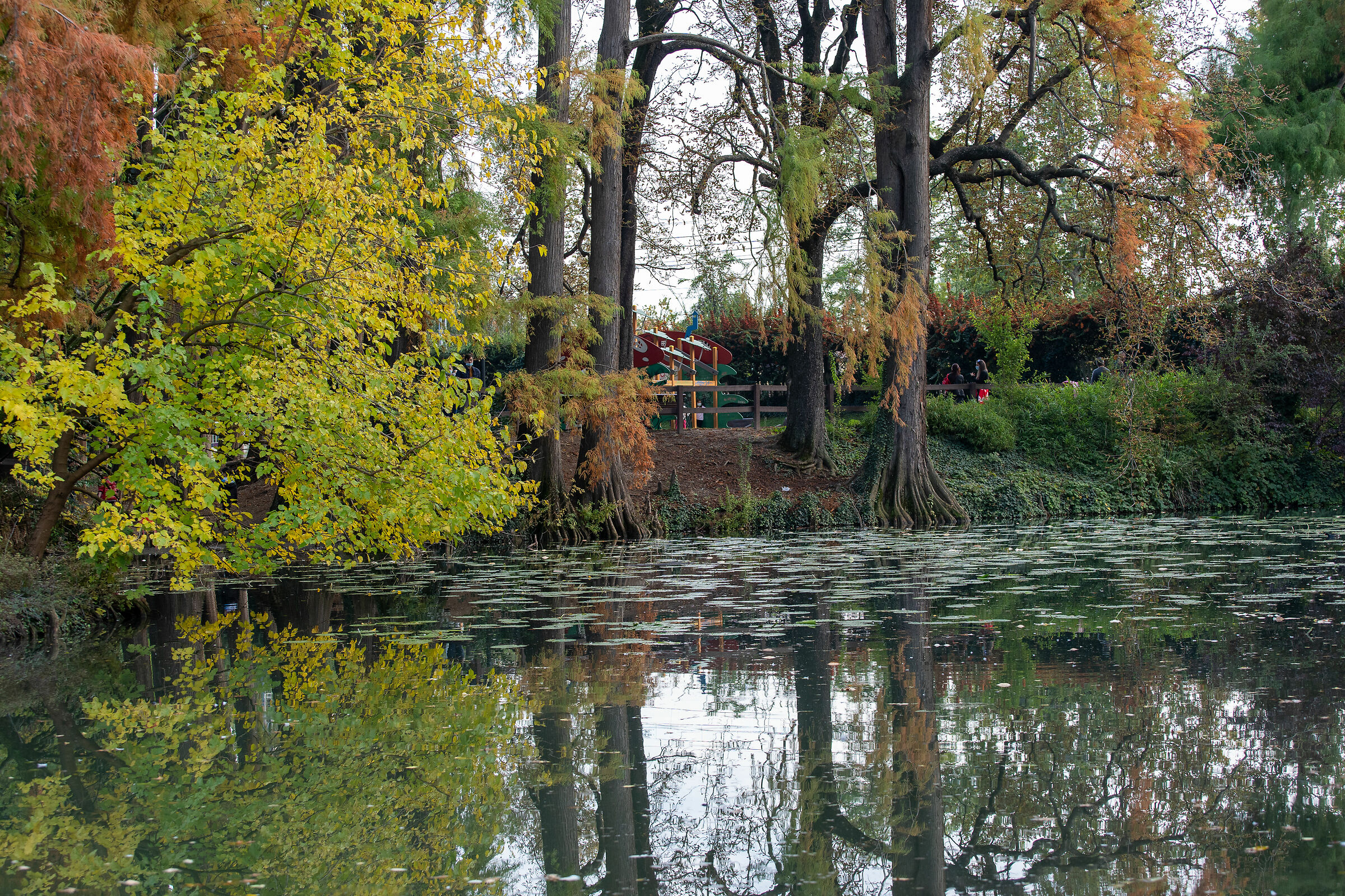 Autunno nel parco - Brescia