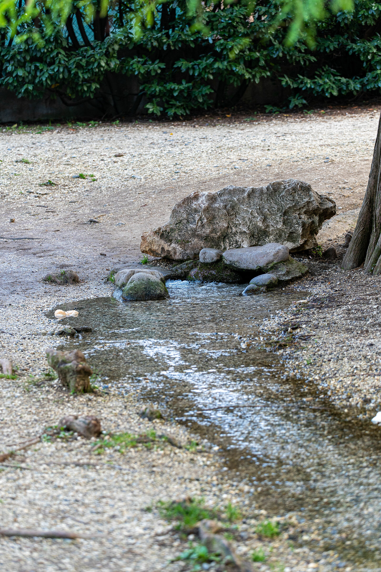 Autunno nel parco - Brescia