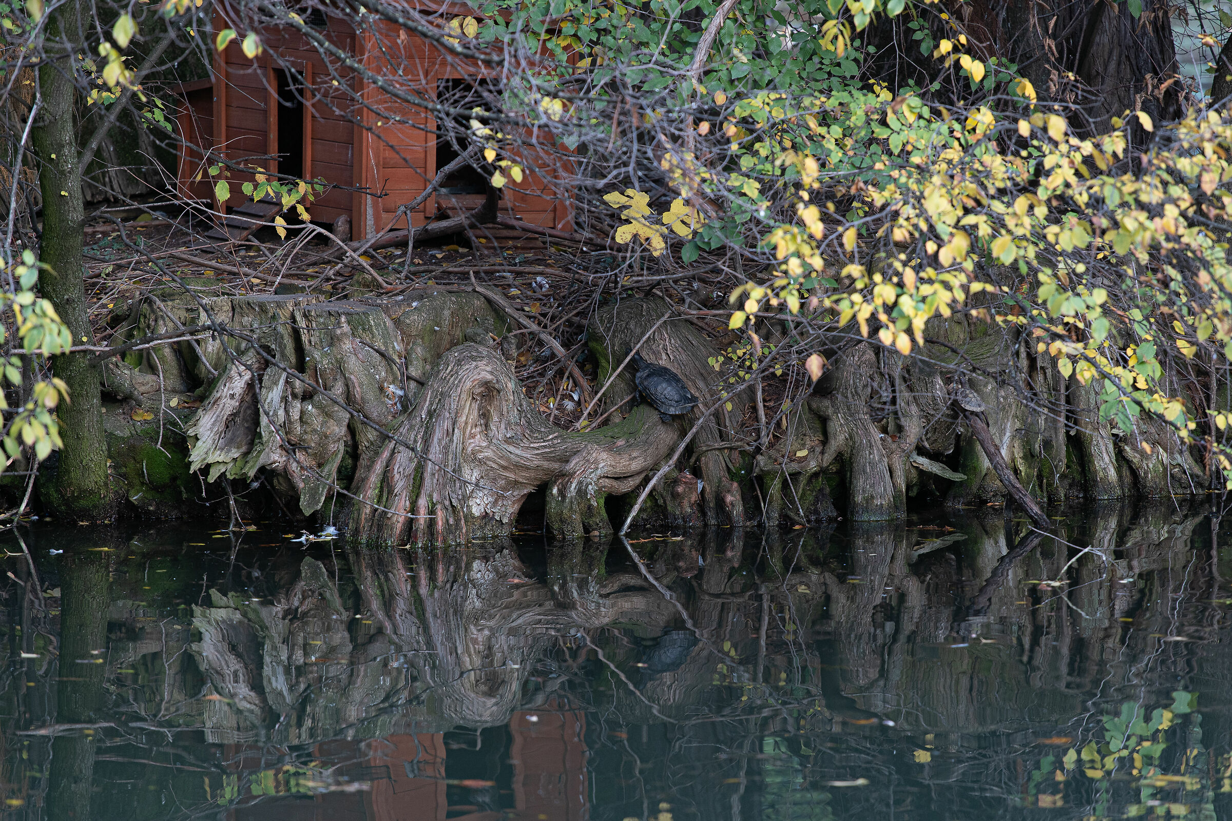 Autunno nel parco - Brescia