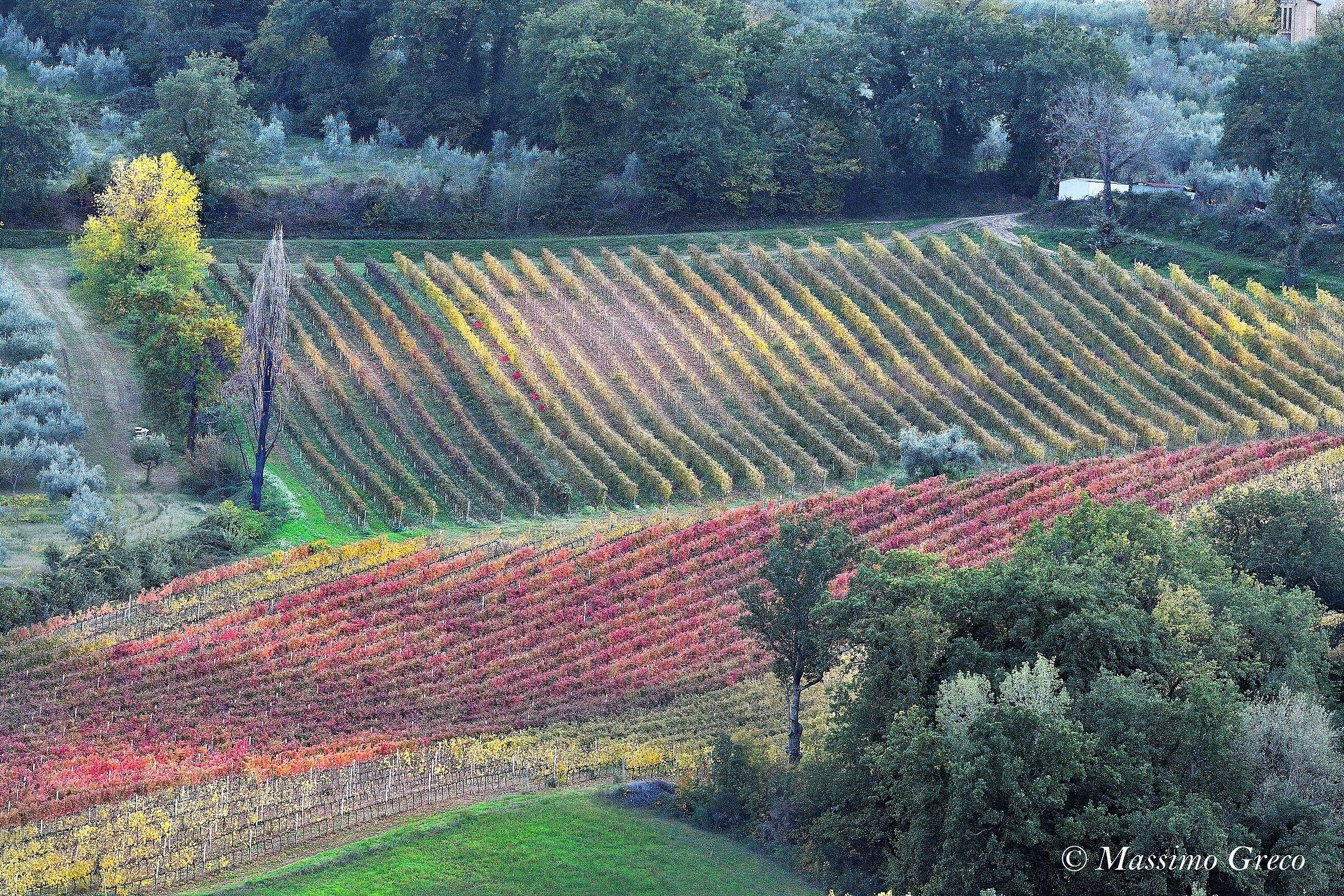 Umbria,terra del Sagrantino -Montepennino di Montefalco