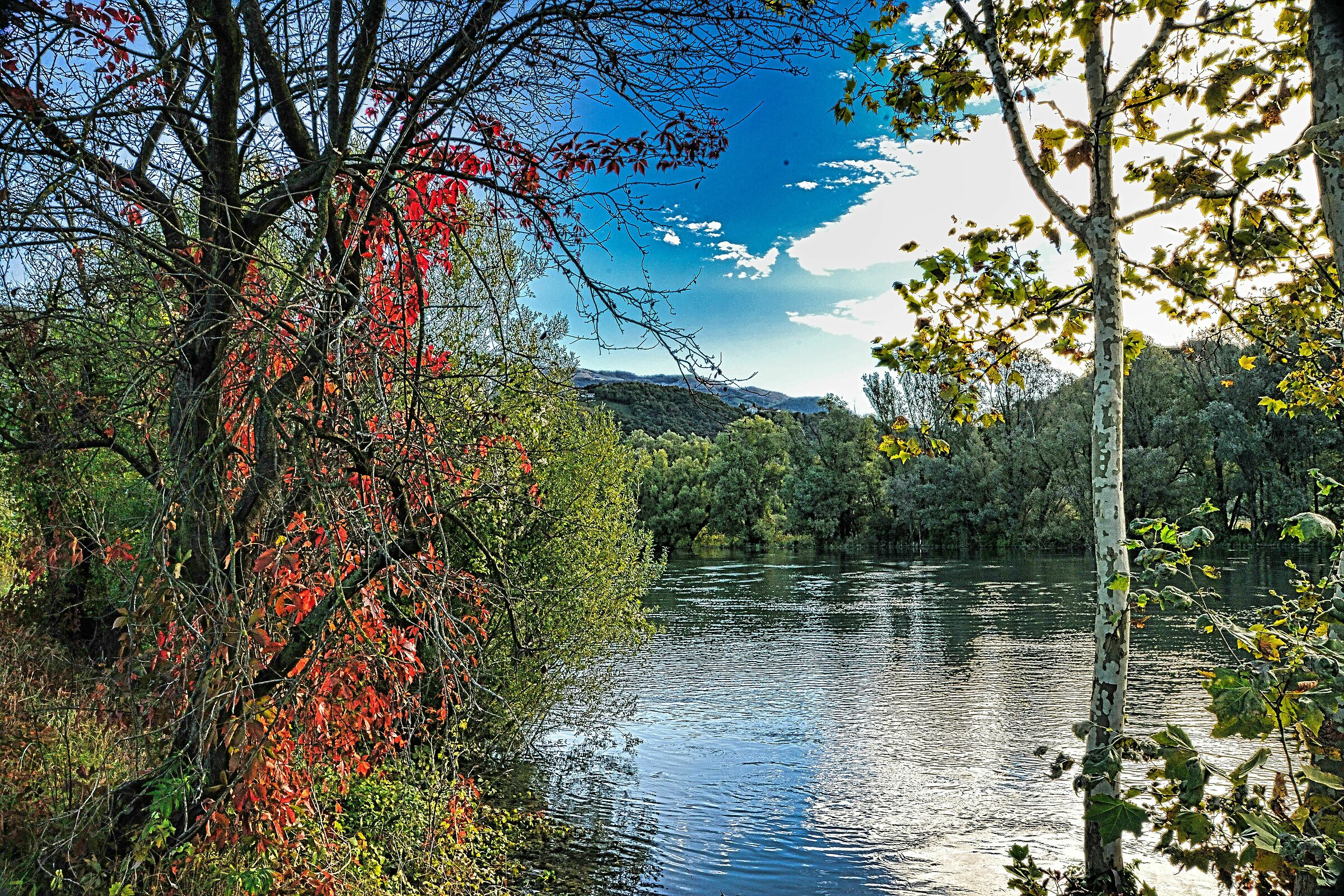 river adda to brivio