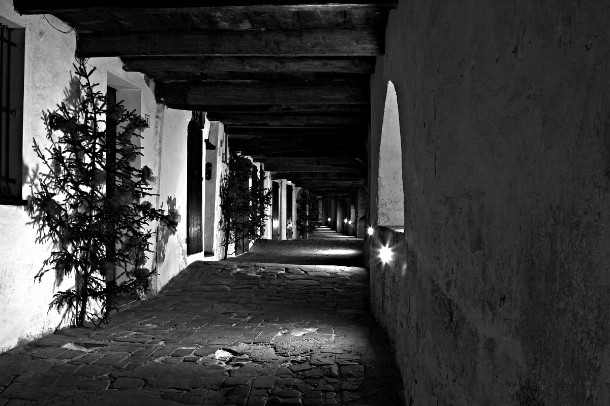 Via donkey Brisighella