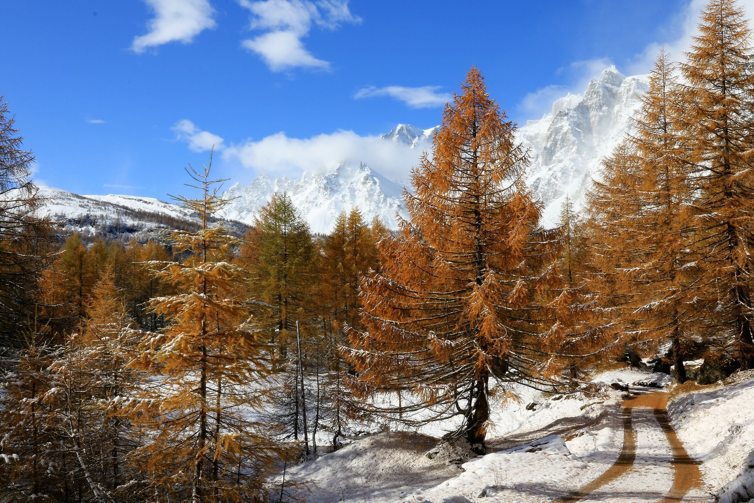 descending towards Devero alp