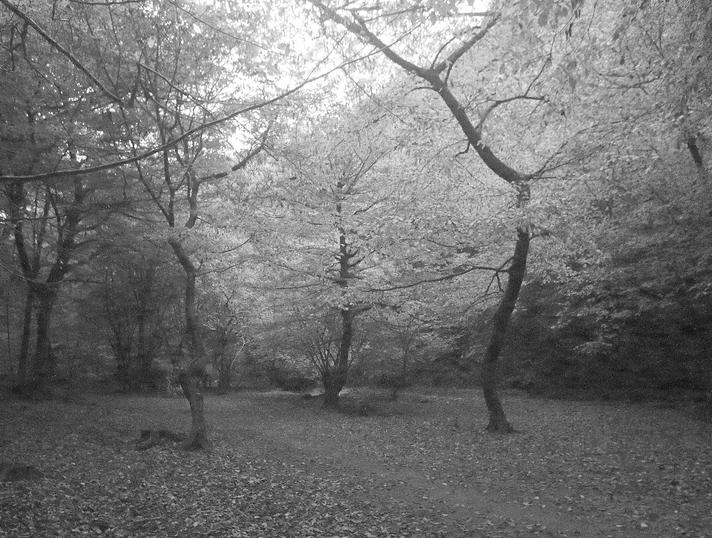 photo for storybooks 2