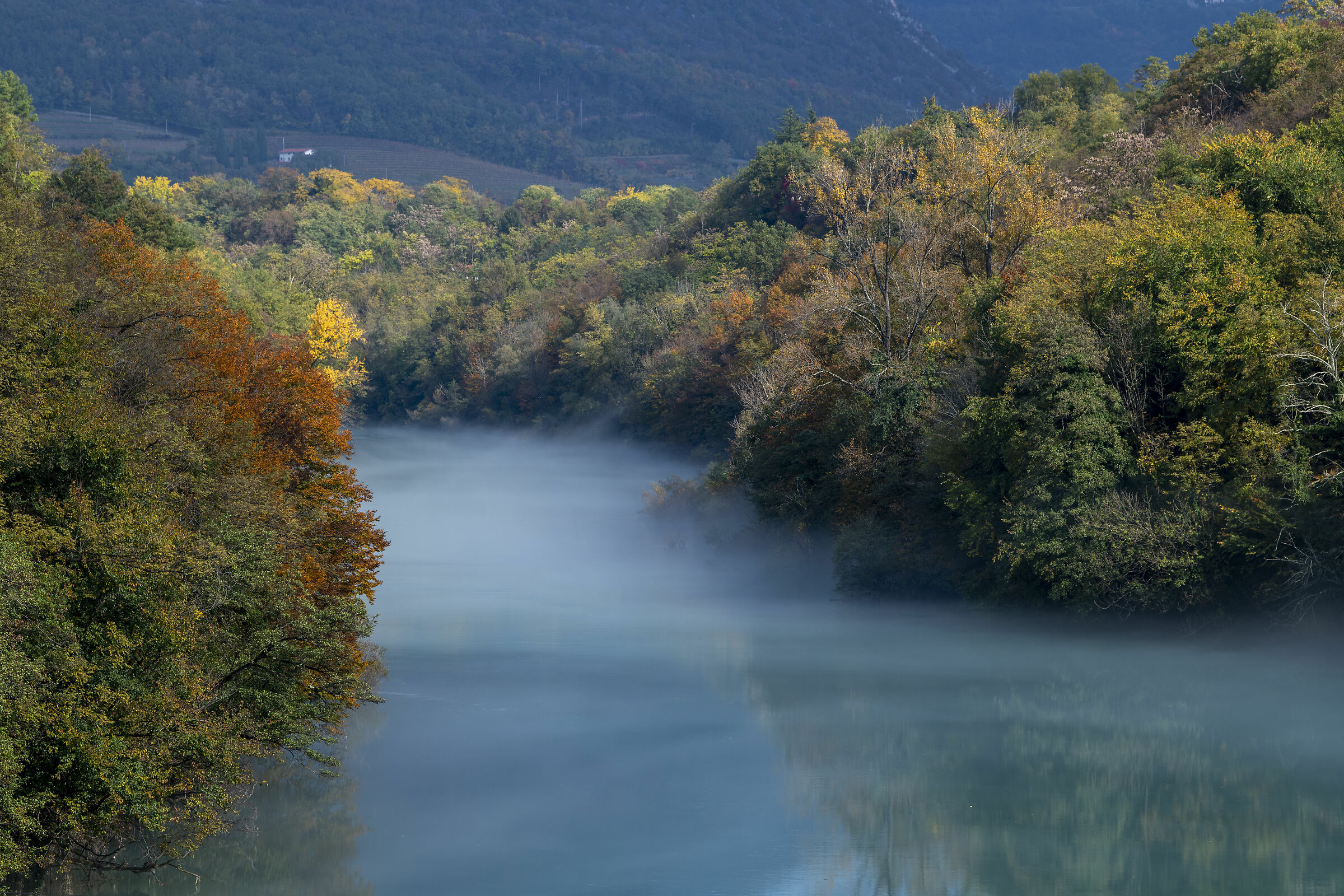 Nebbia sull'Isonzo