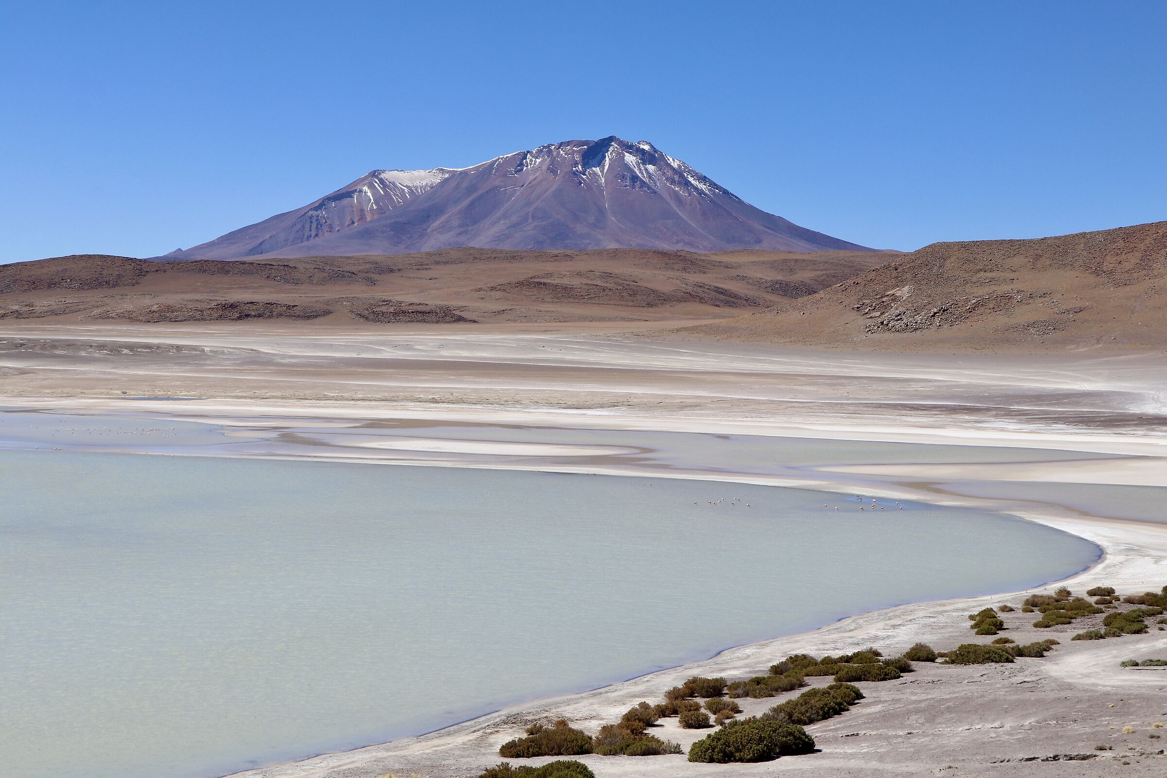 Laguna Honda, Bolivia