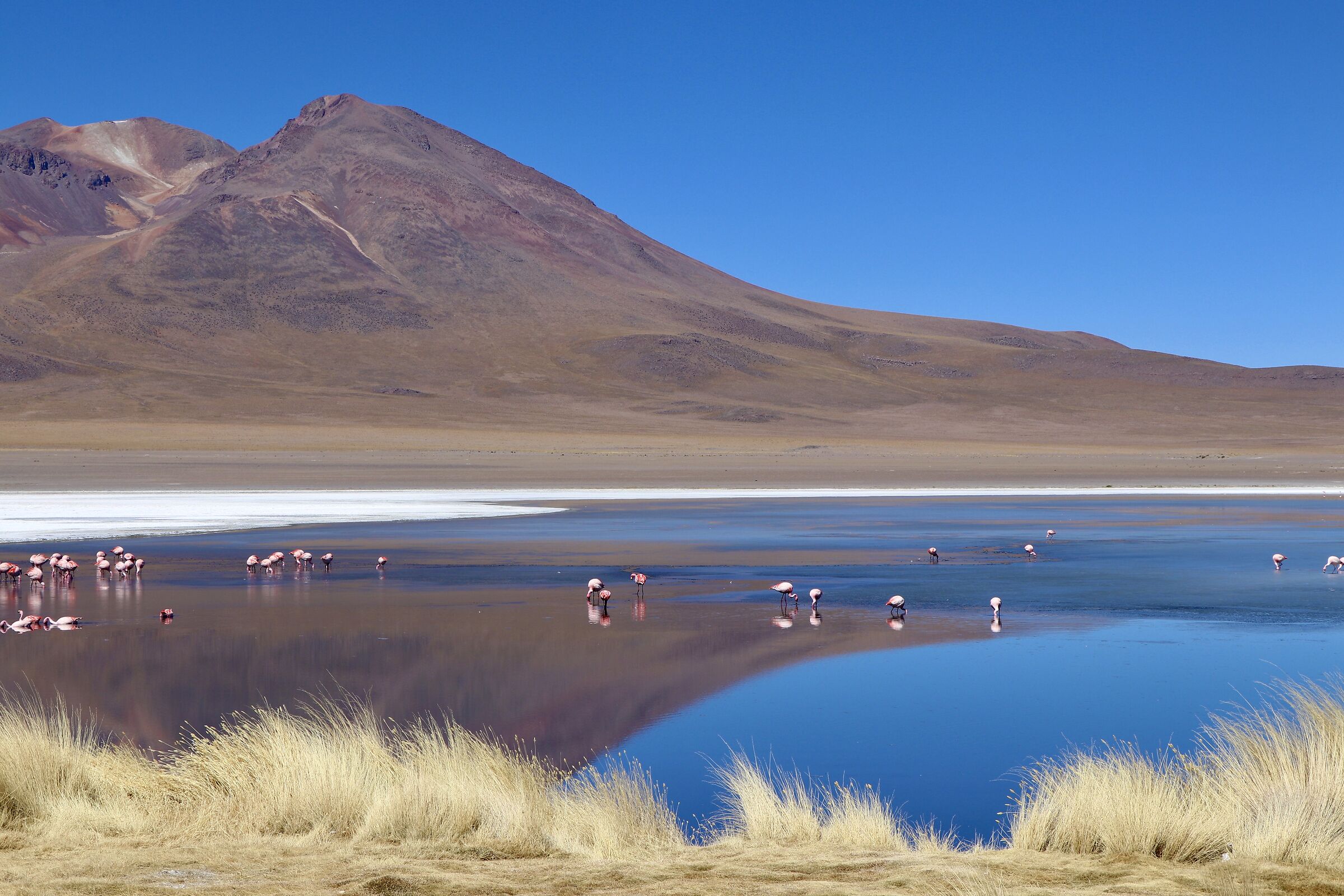 Laguna Blu, Bolivia