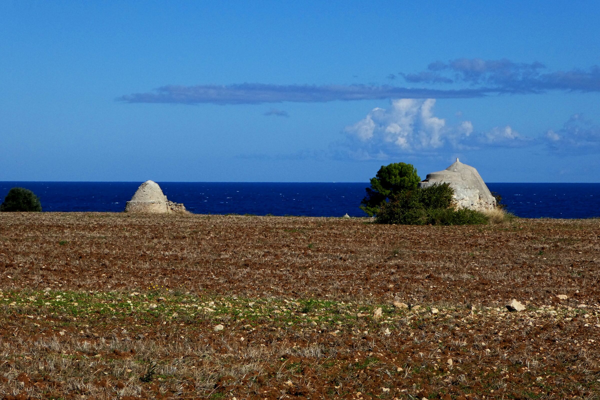 Corner of Puglia