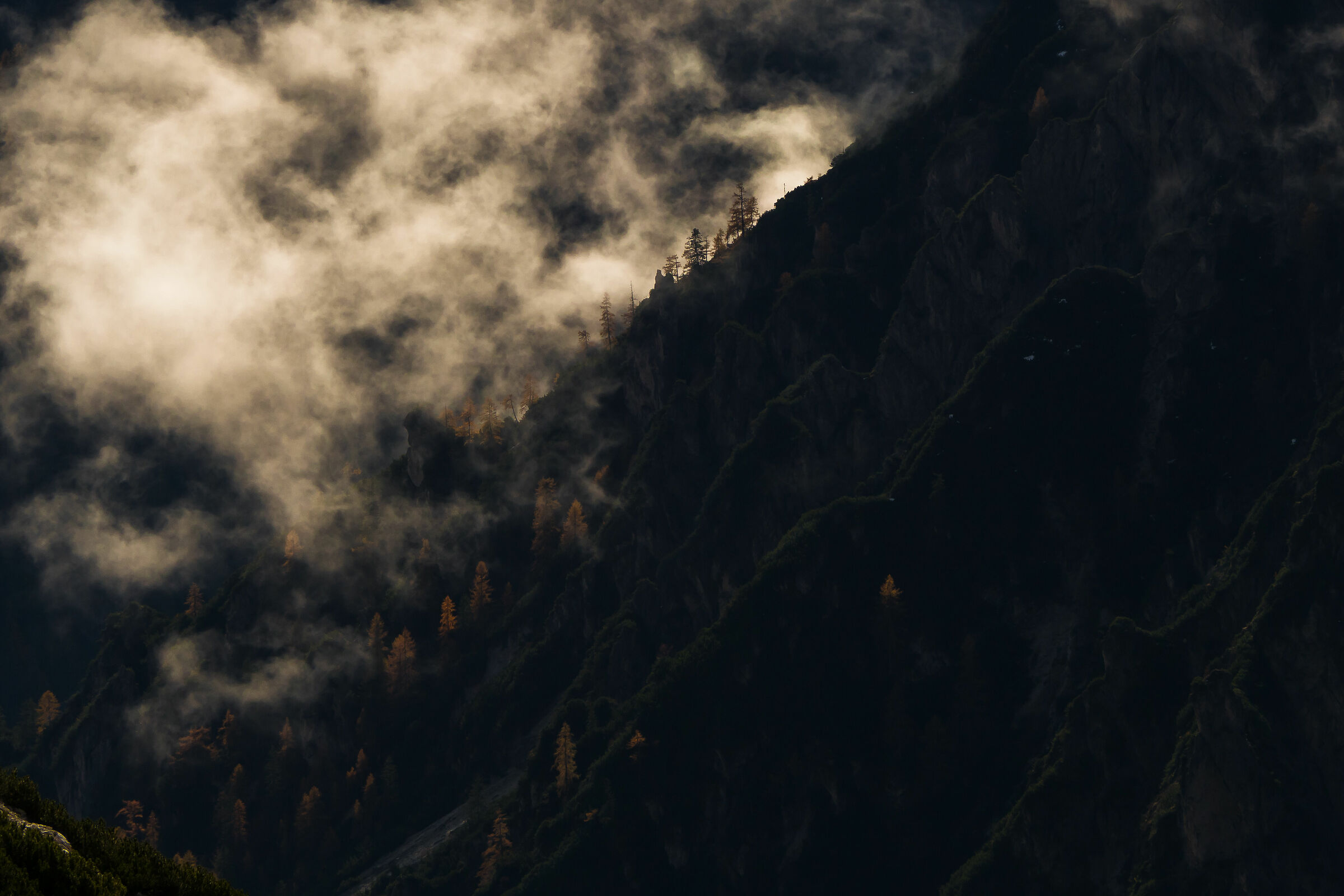 the beginning of light