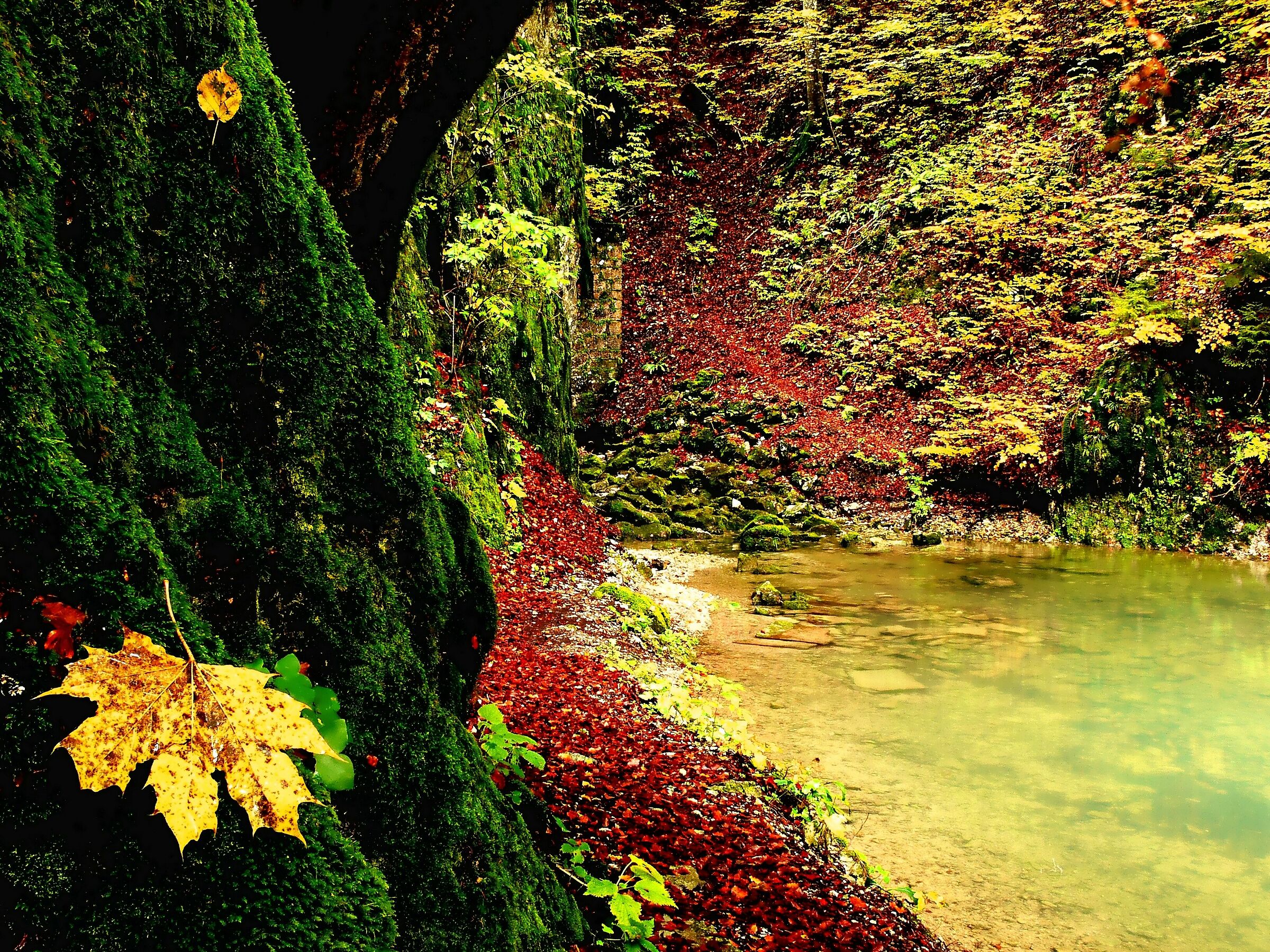 La fiabesca Notranisko-Kraska