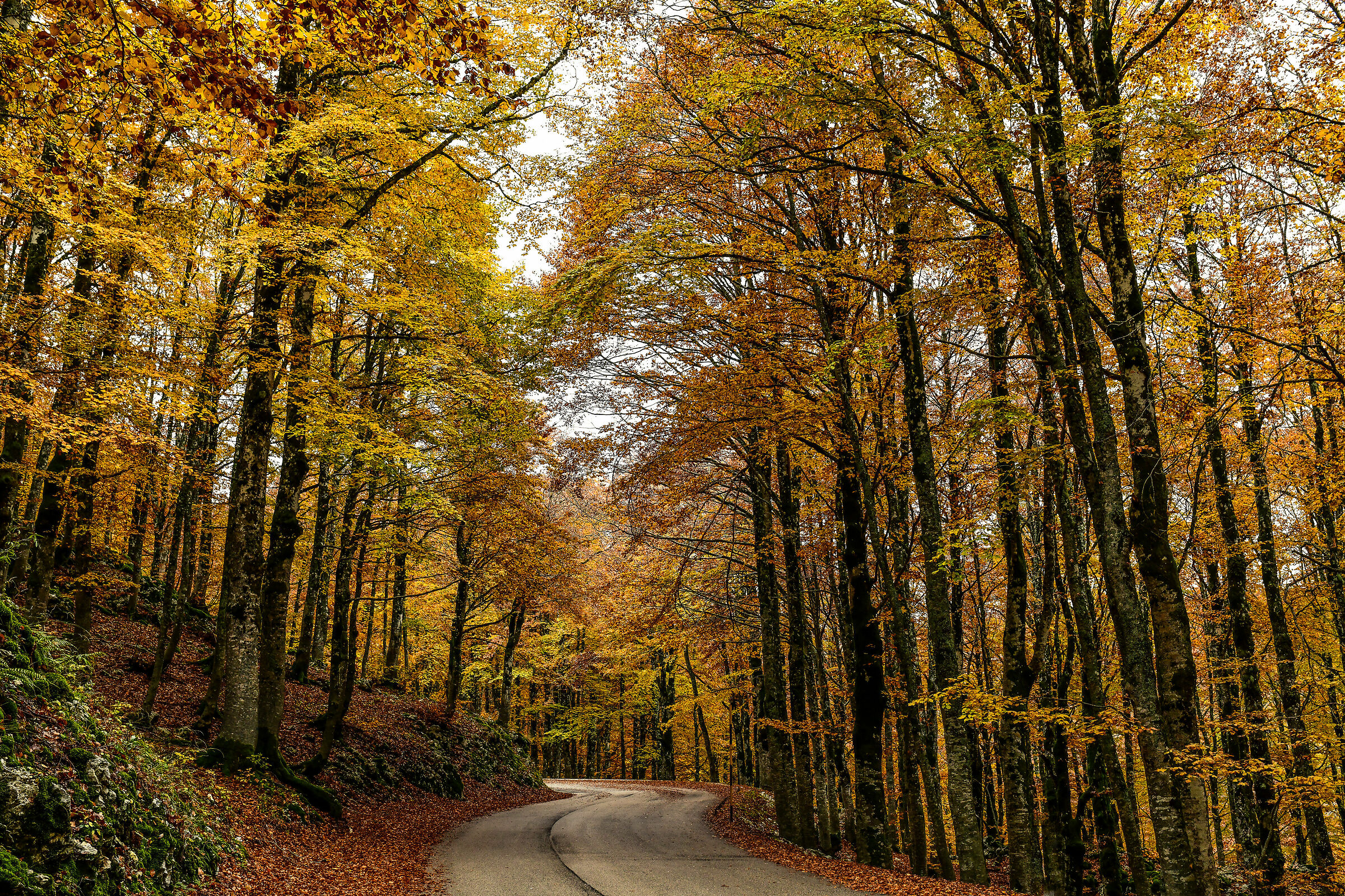 Parco Nazionale d'Abruzzo-Autunno 2020
