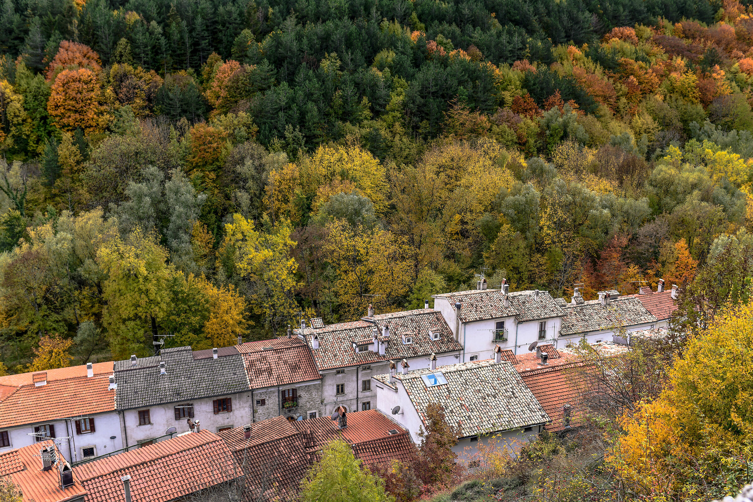 Parco Nazionale d'Abruzzo-Autunno 2020