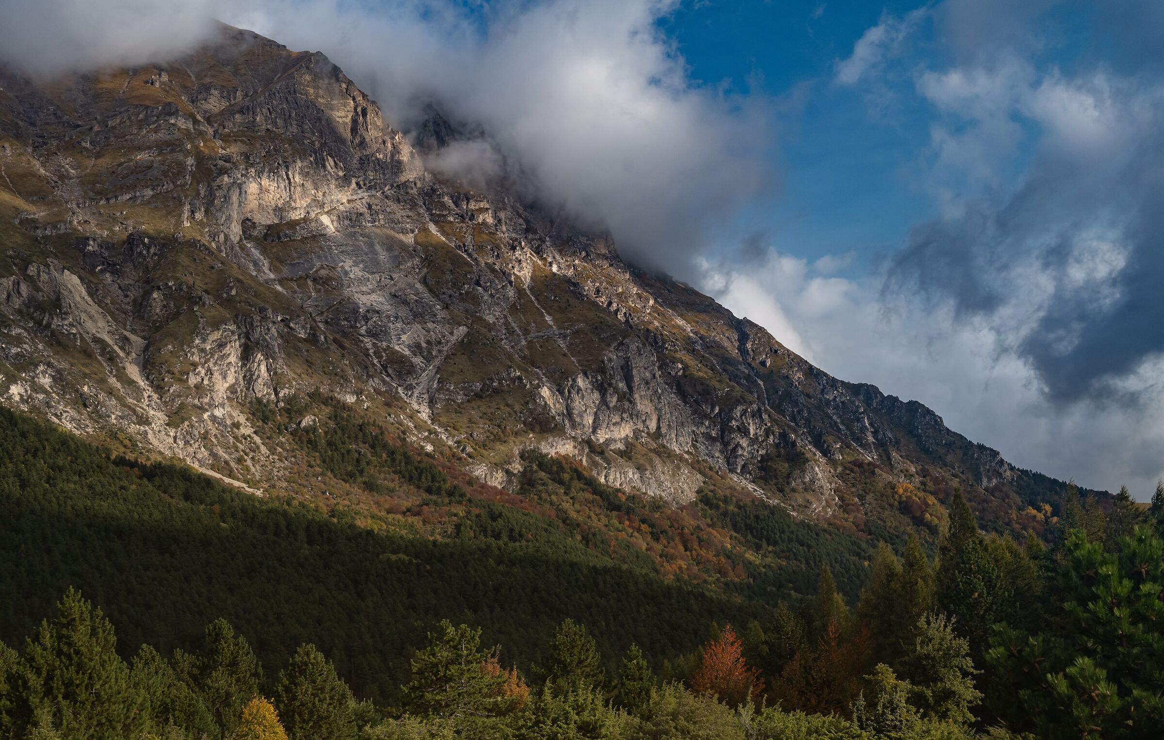 Il Vettore vestito d'inverno
