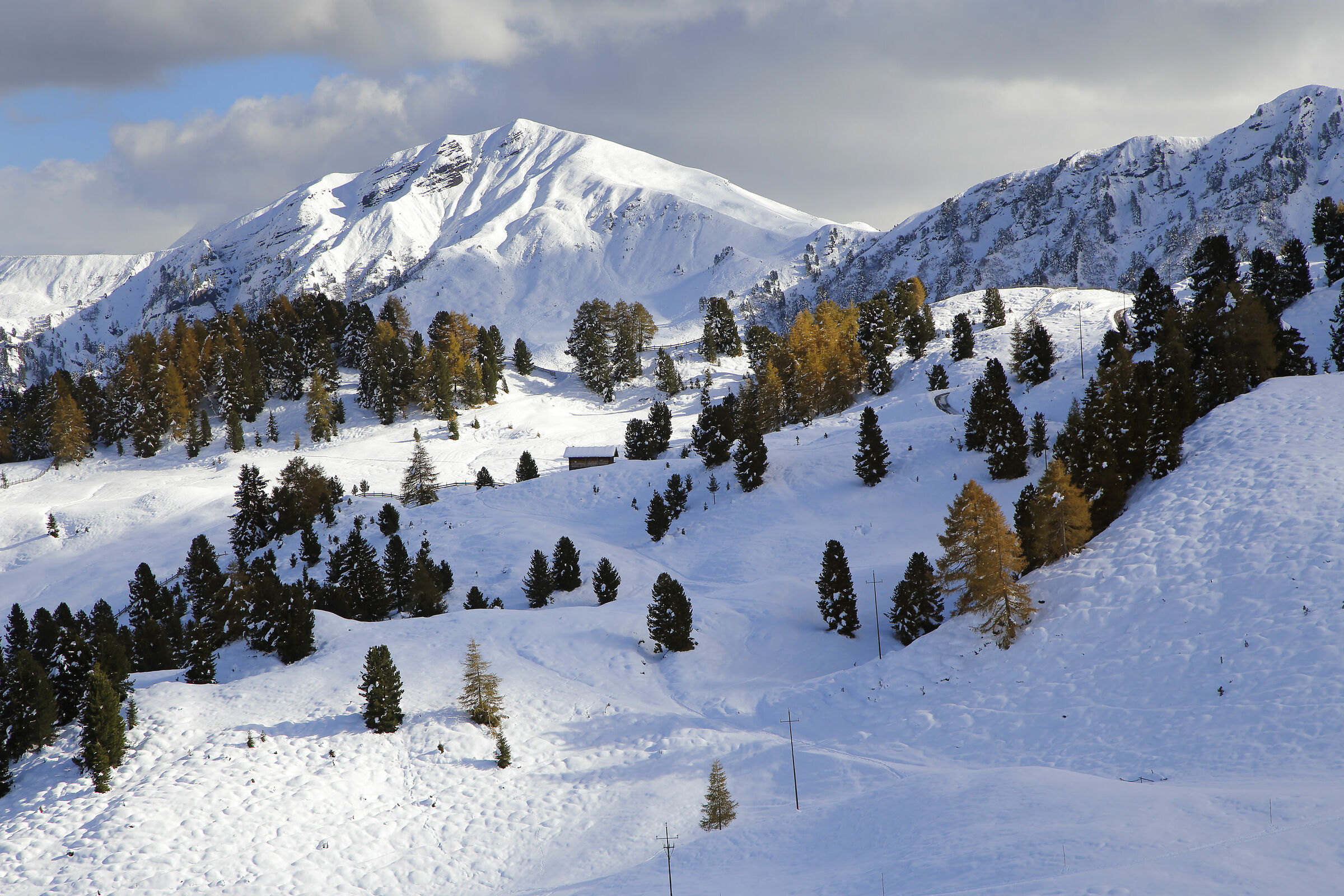È arrivata la neveeee!