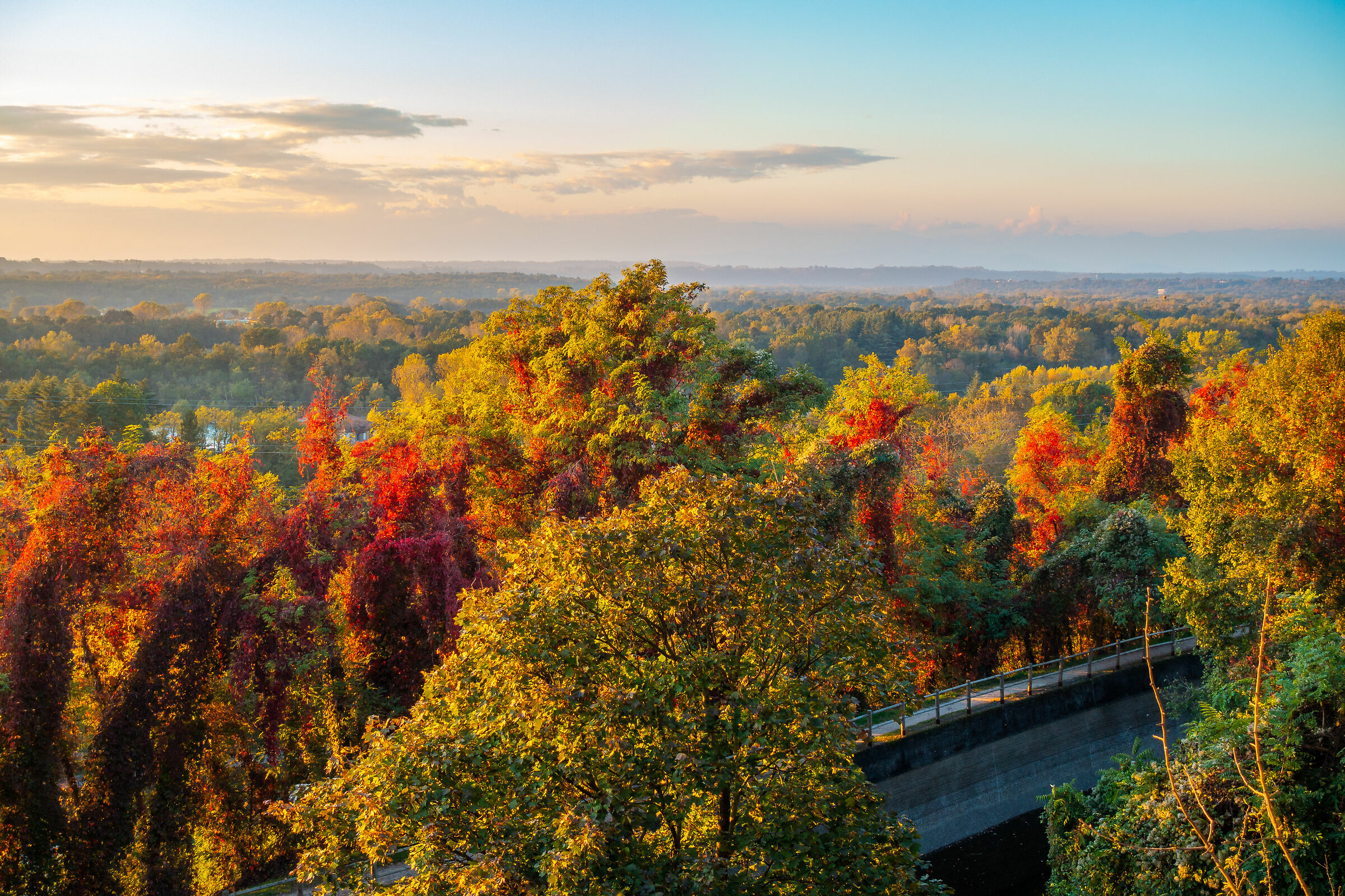 Autumn