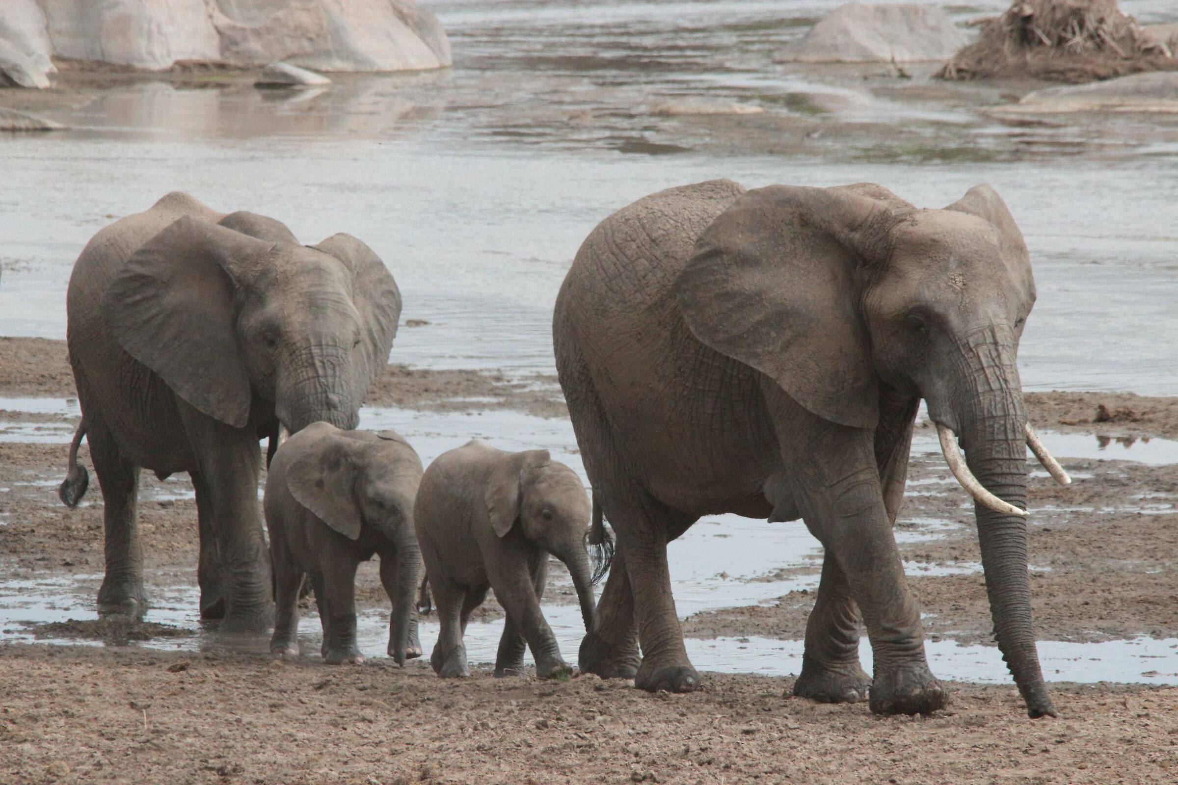 ... lined up for 3...