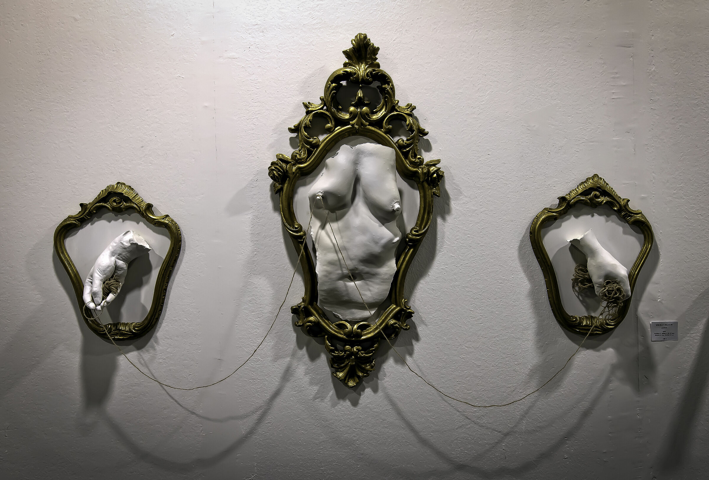 Specchi delle mie brame