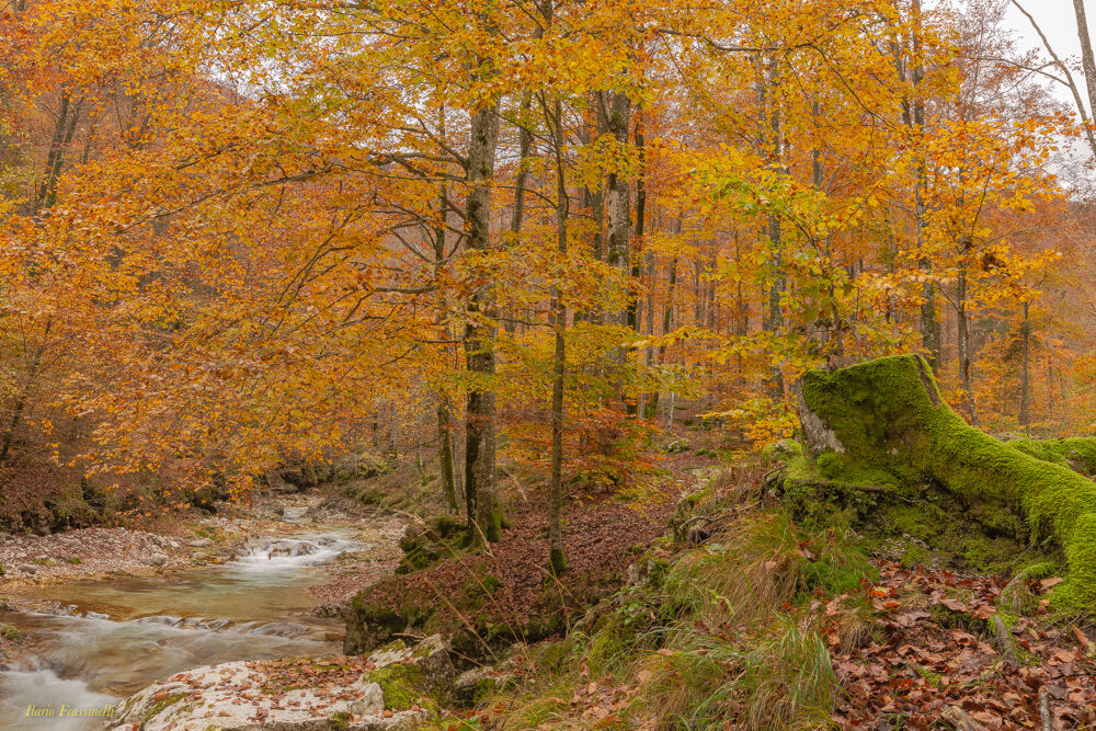 Autunno colorato in val d'Arzino