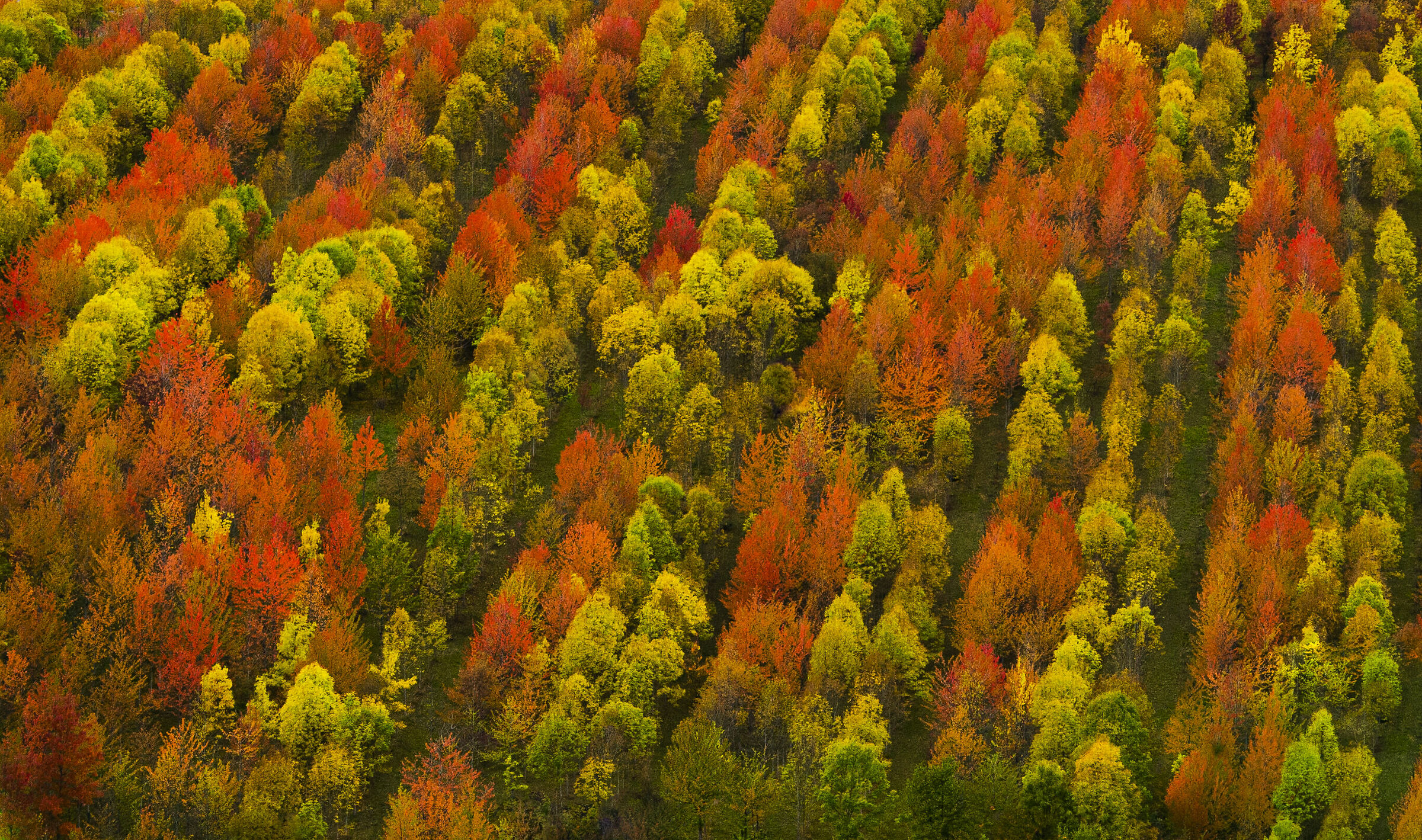 Meraviglie della natura in autunno...