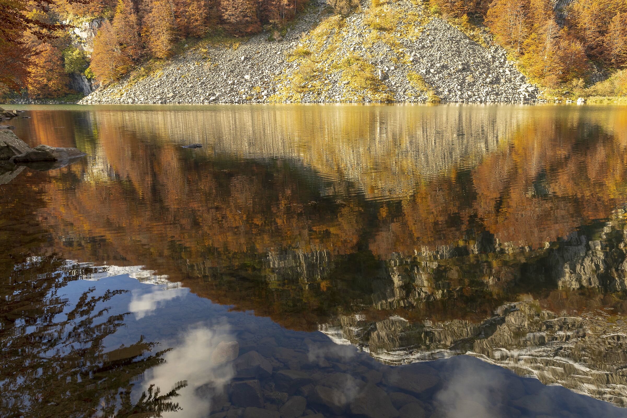 Riflessi Autunnali
