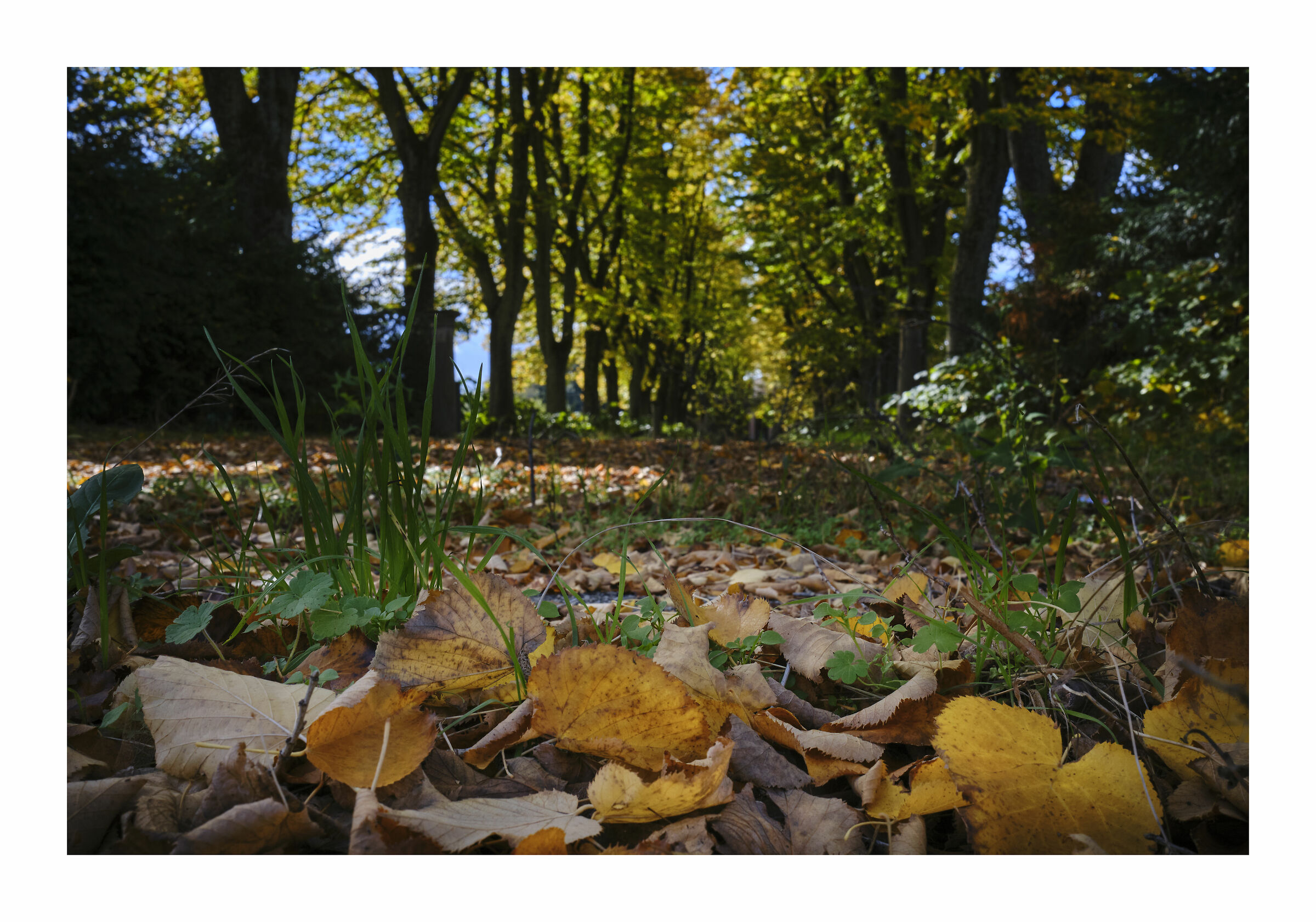autunno 2020