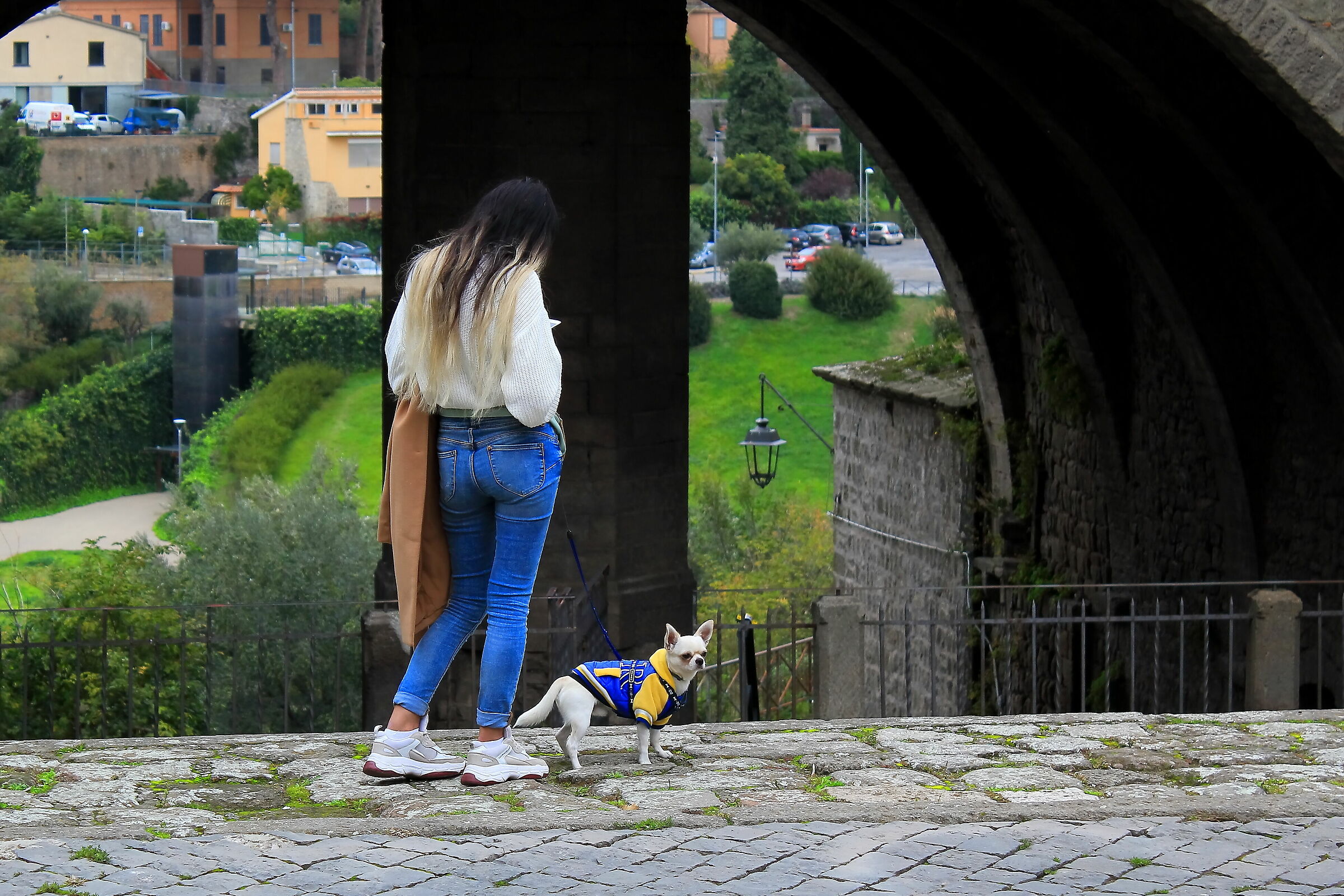 Watch out for the dog!