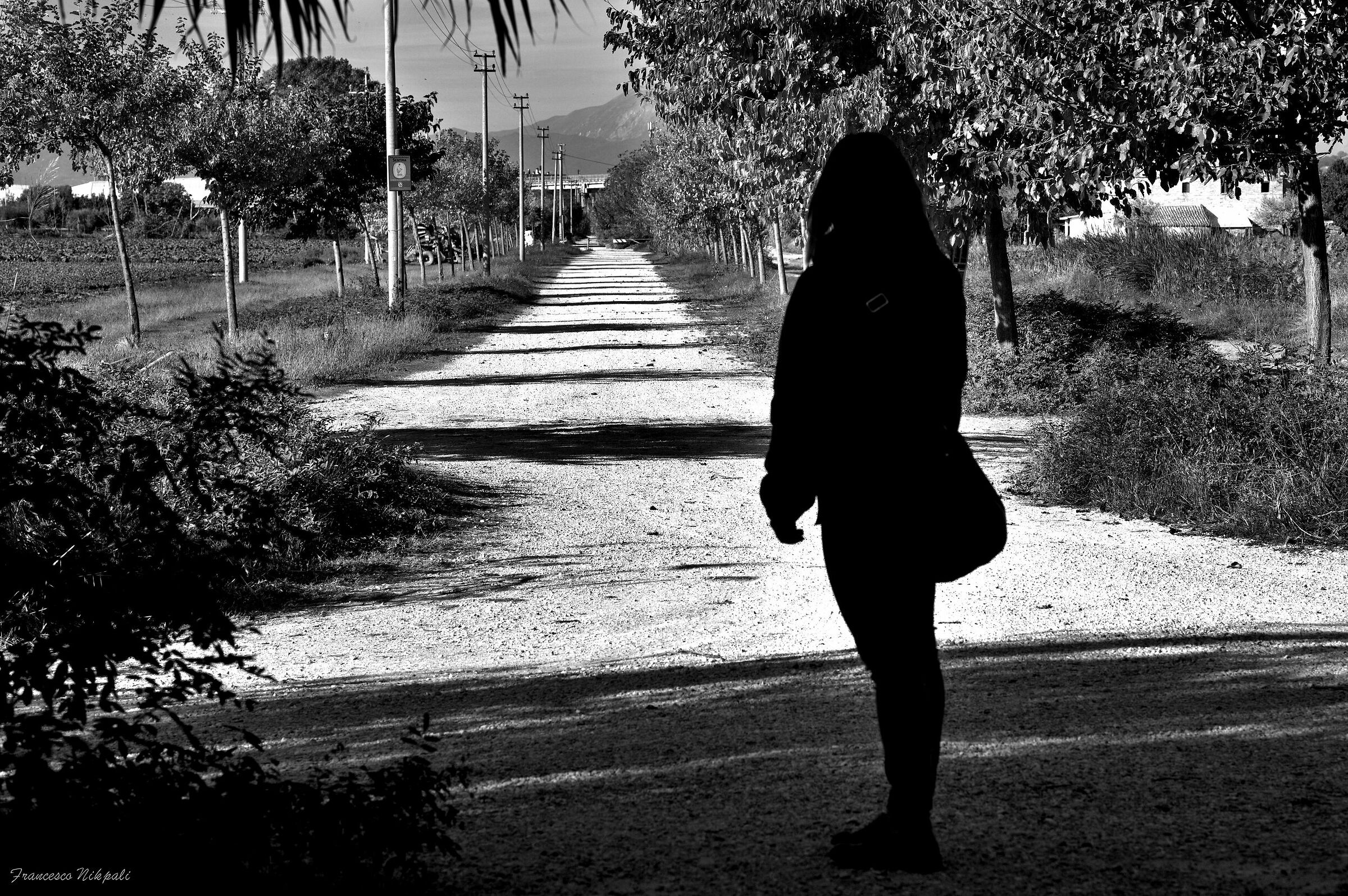 Looking at the way back